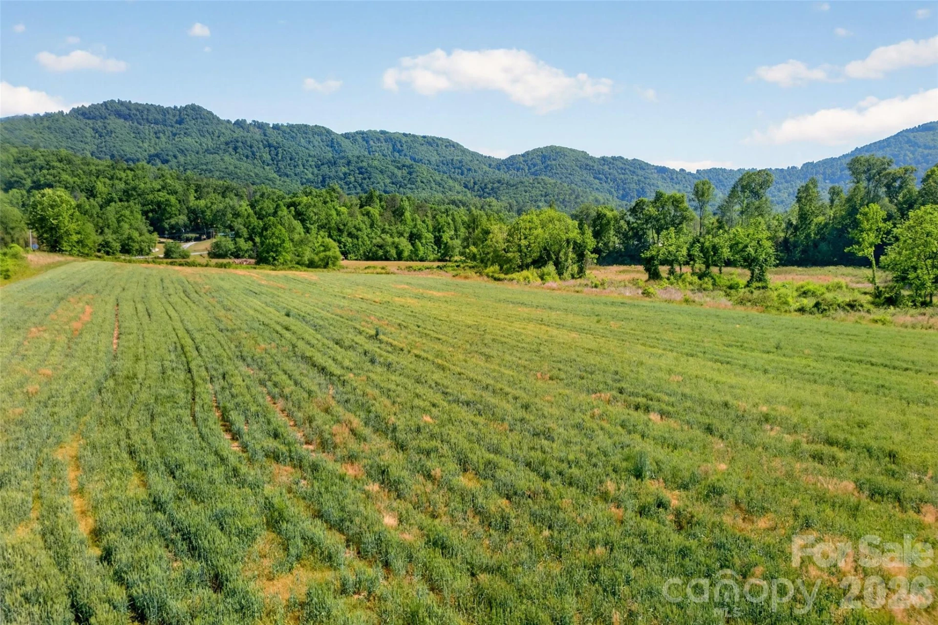 3361 Bethlehem Road - Photo 21