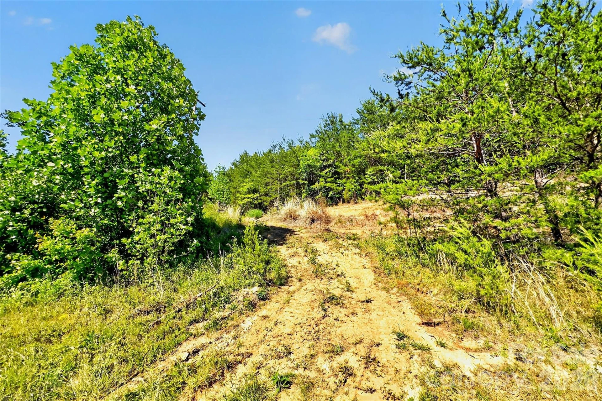 3361 Bethlehem Road - Photo 30