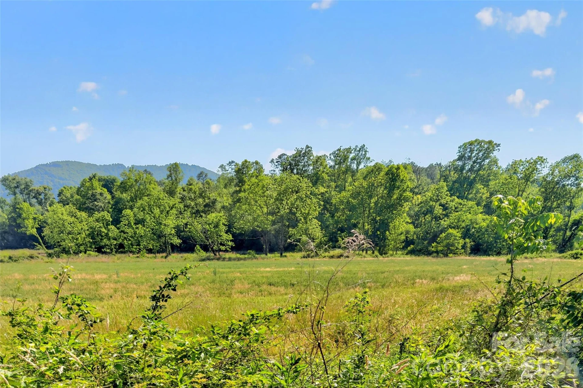 3361 Bethlehem Road - Photo 31