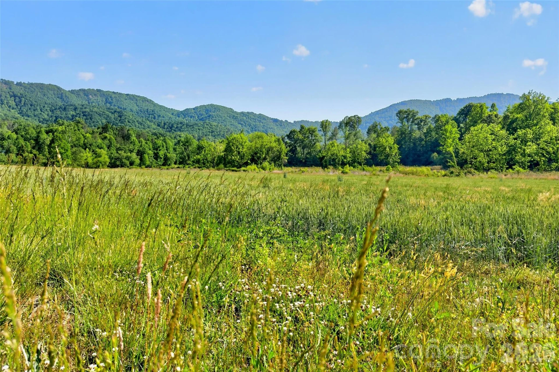 3361 Bethlehem Road - Photo 33
