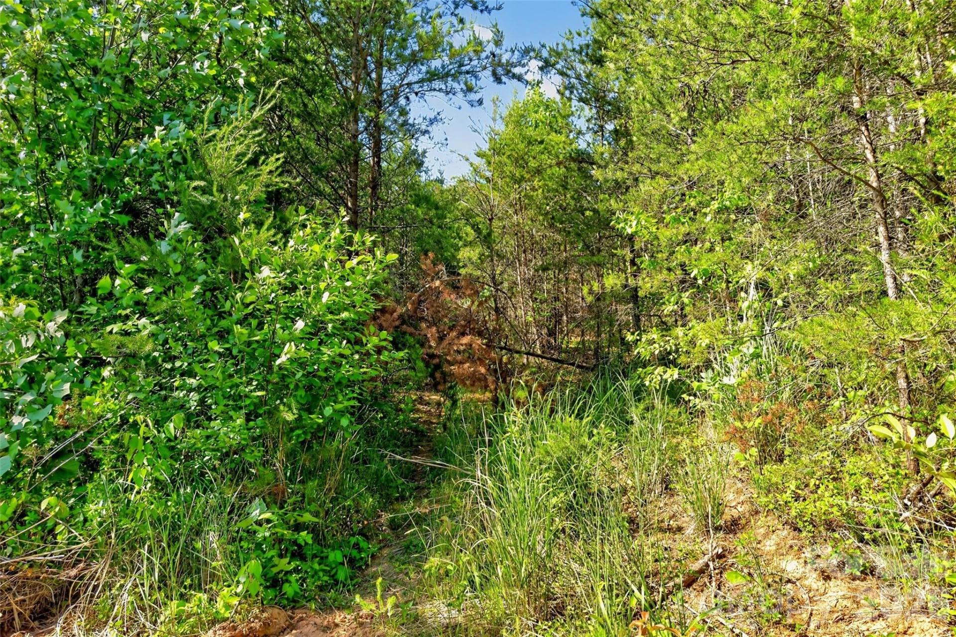 3361 Bethlehem Road - Photo 36