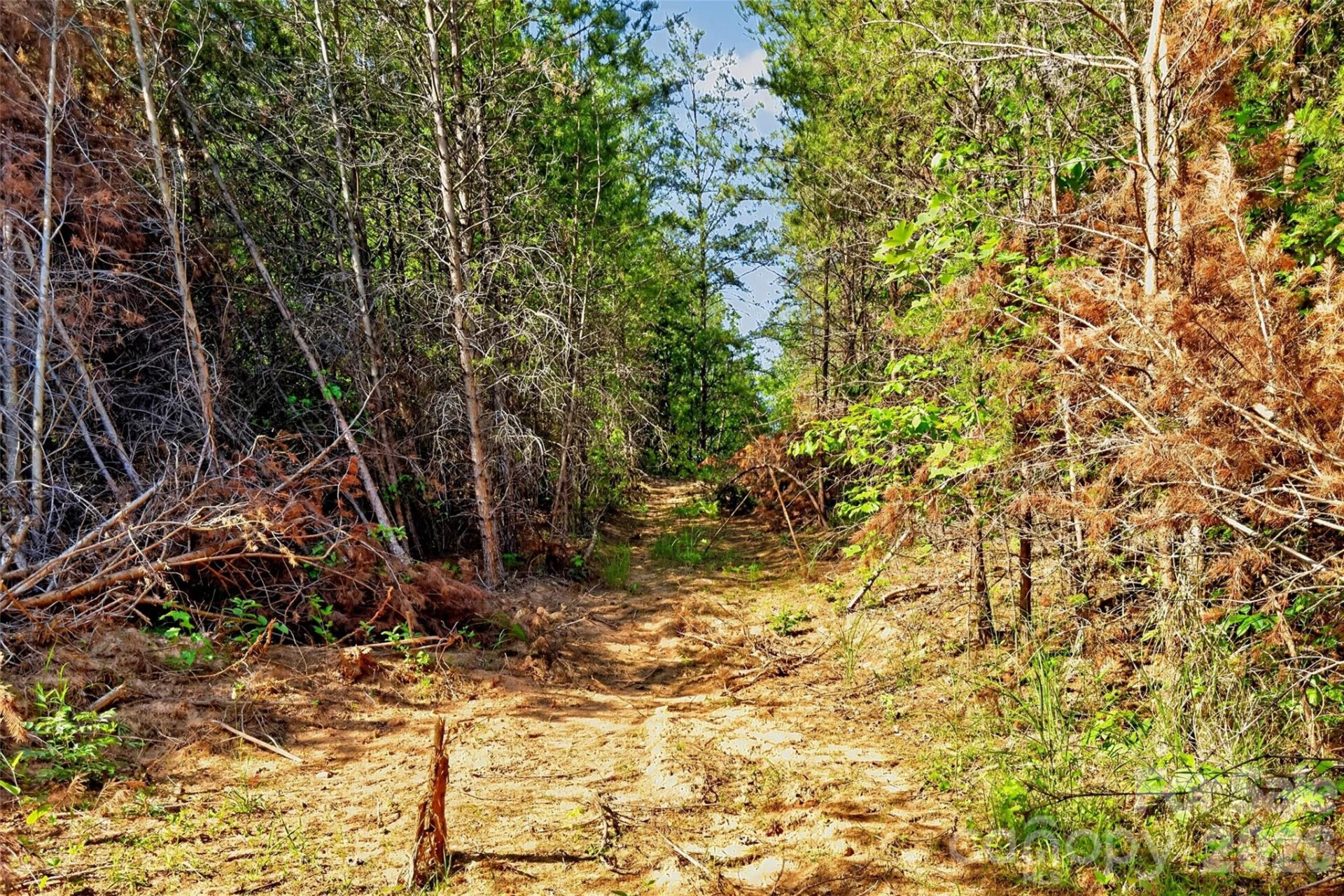 3361 Bethlehem Road - Photo 37