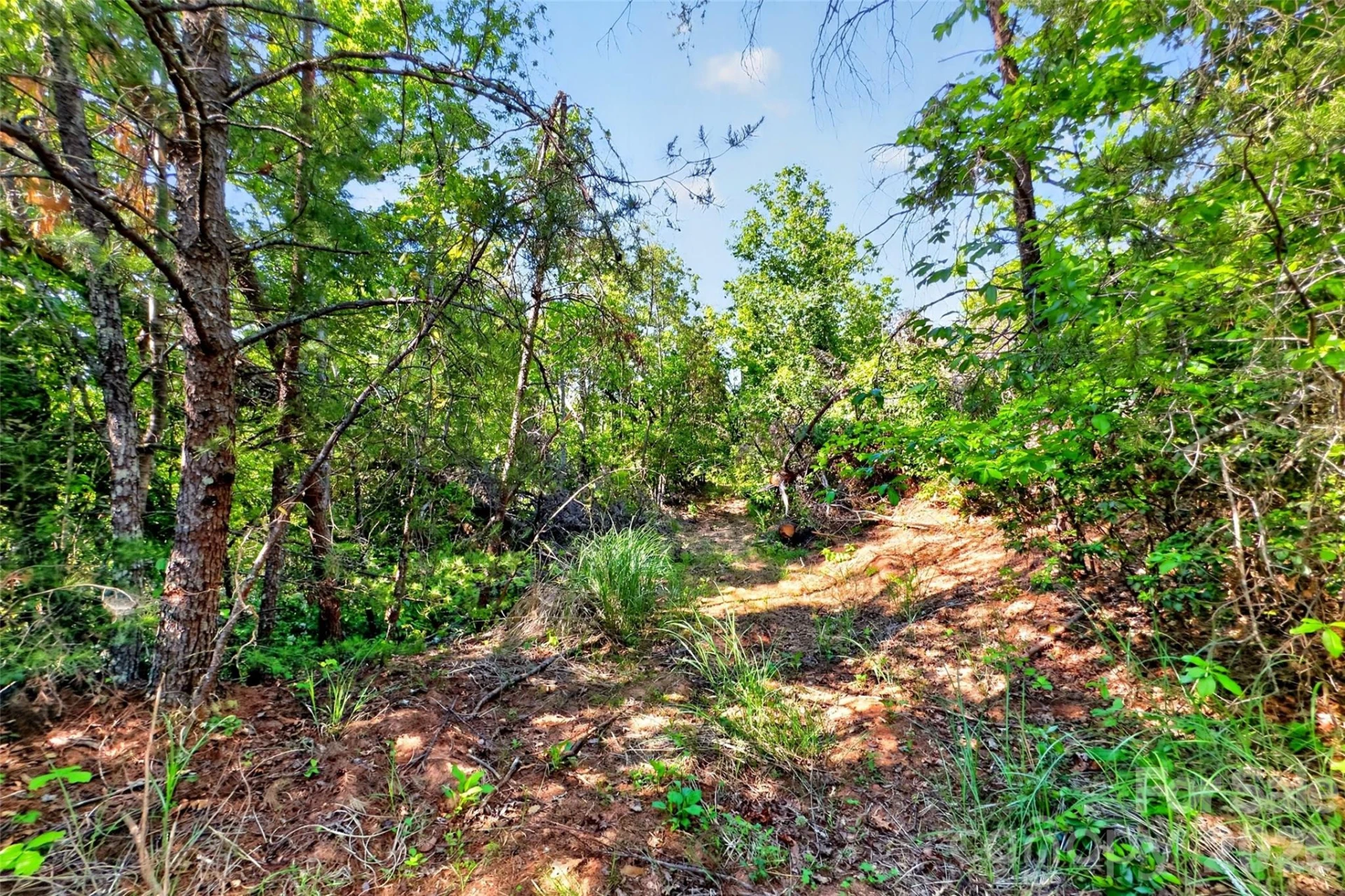 3361 Bethlehem Road - Photo 38