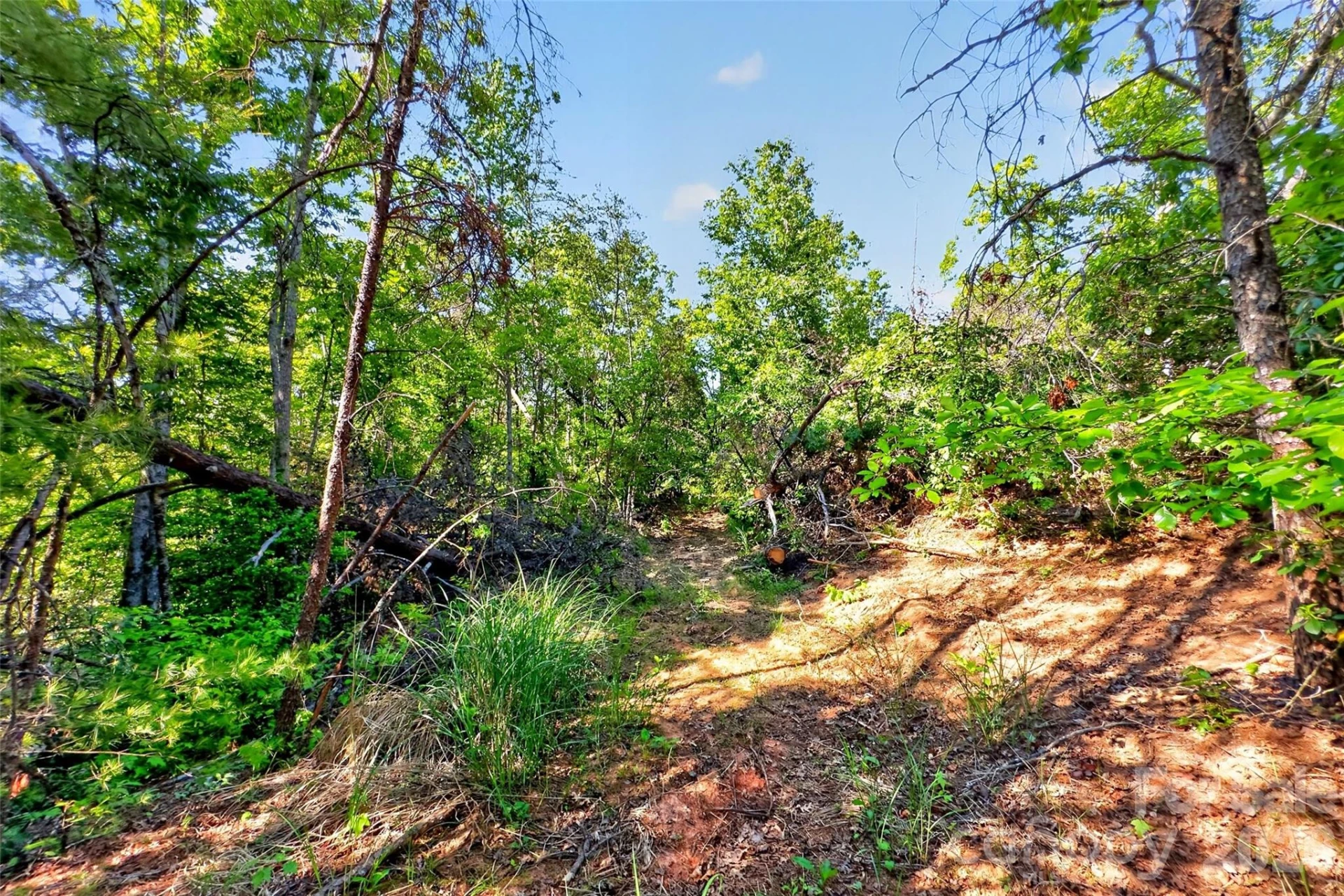 3361 Bethlehem Road - Photo 39