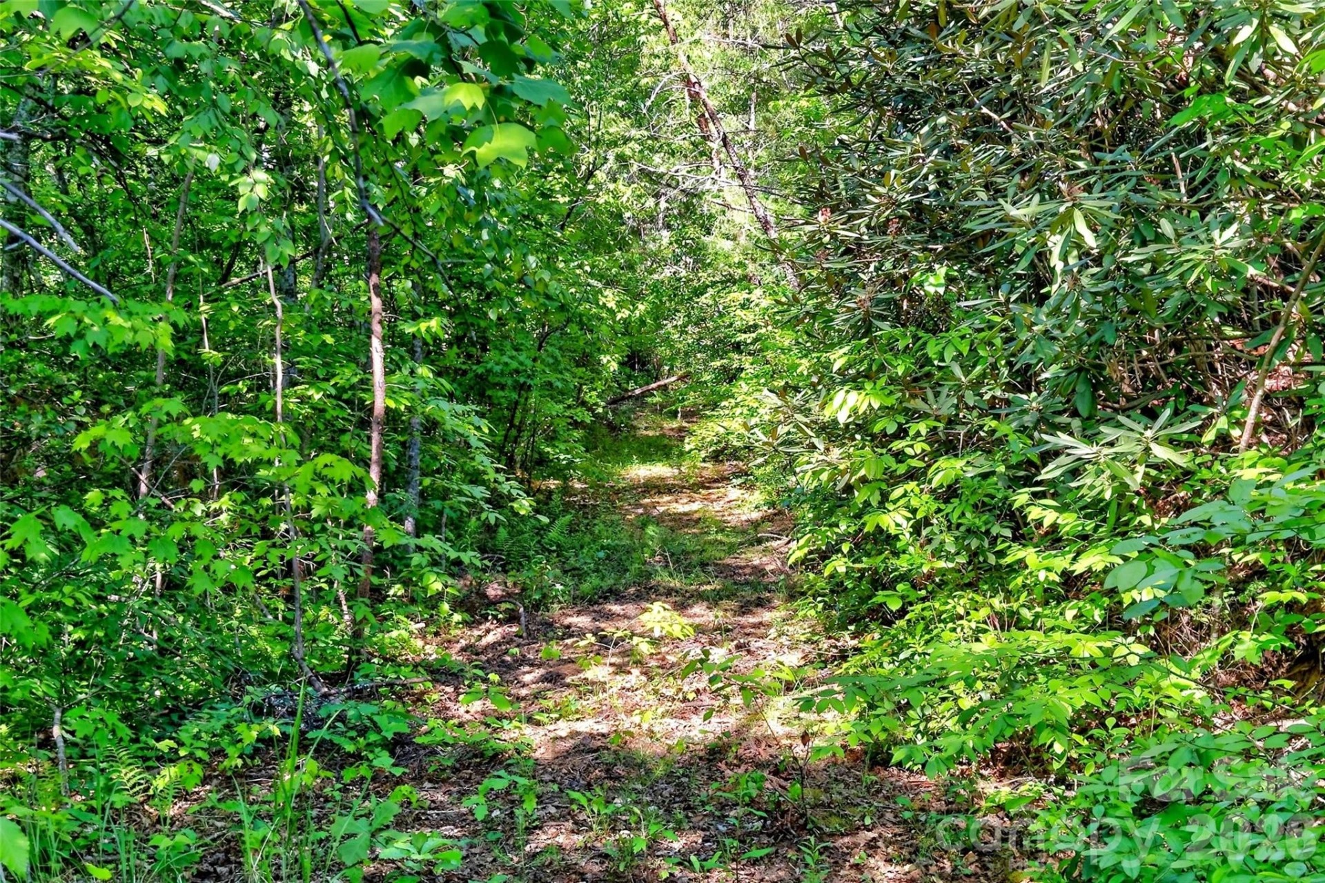 3361 Bethlehem Road - Photo 40