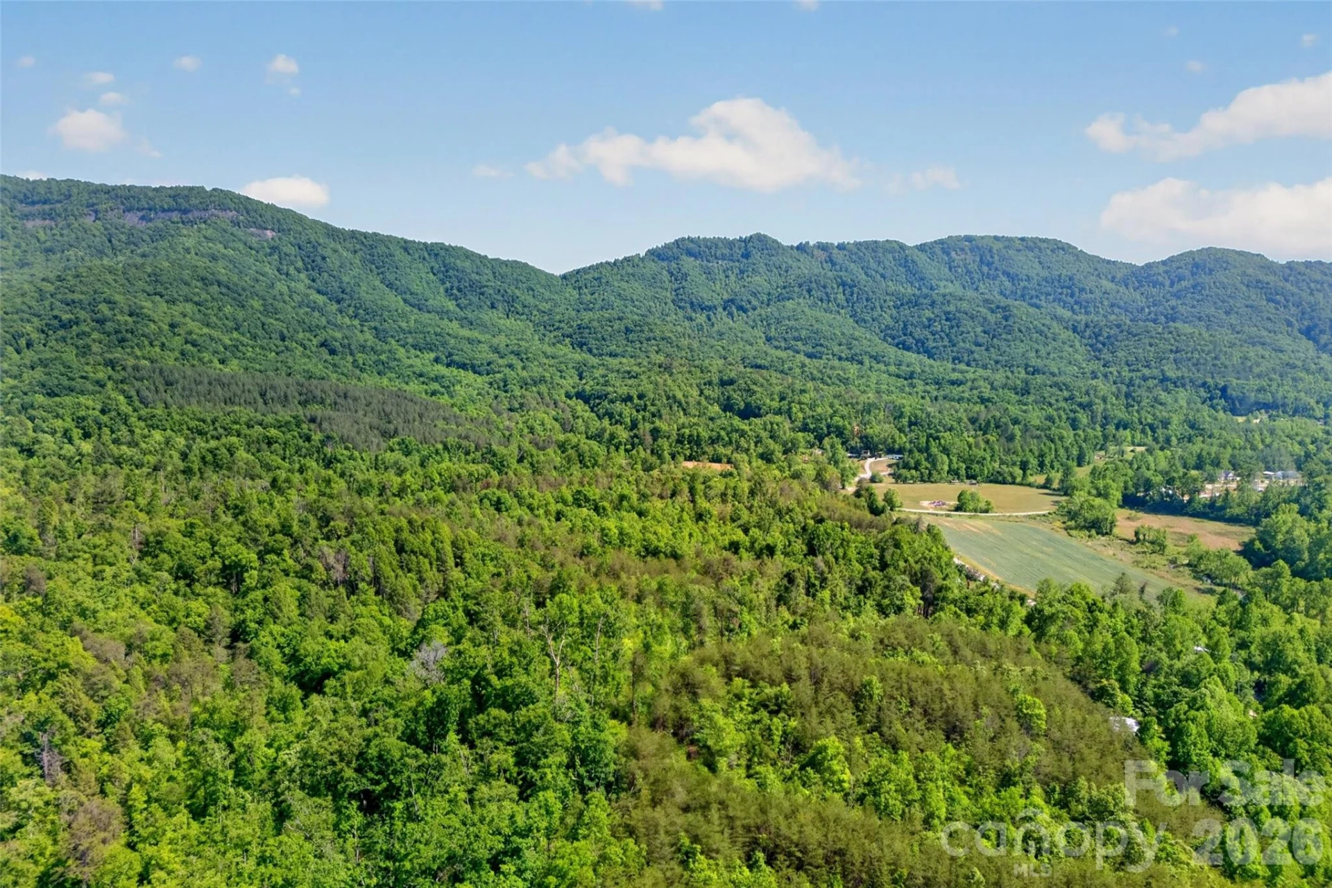3361 Bethlehem Road - Photo 9