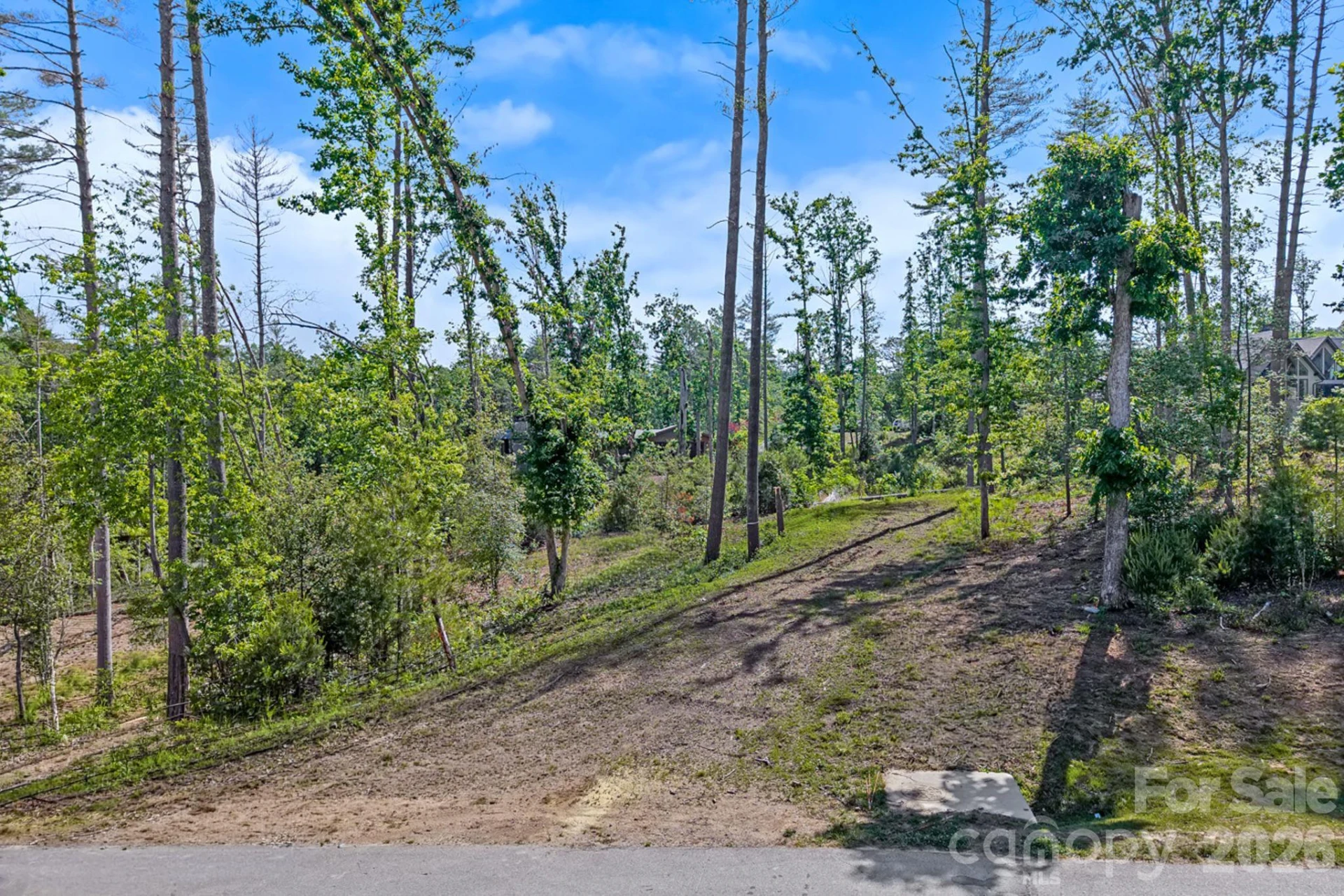 325 Flowering Vine Court - Photo 3