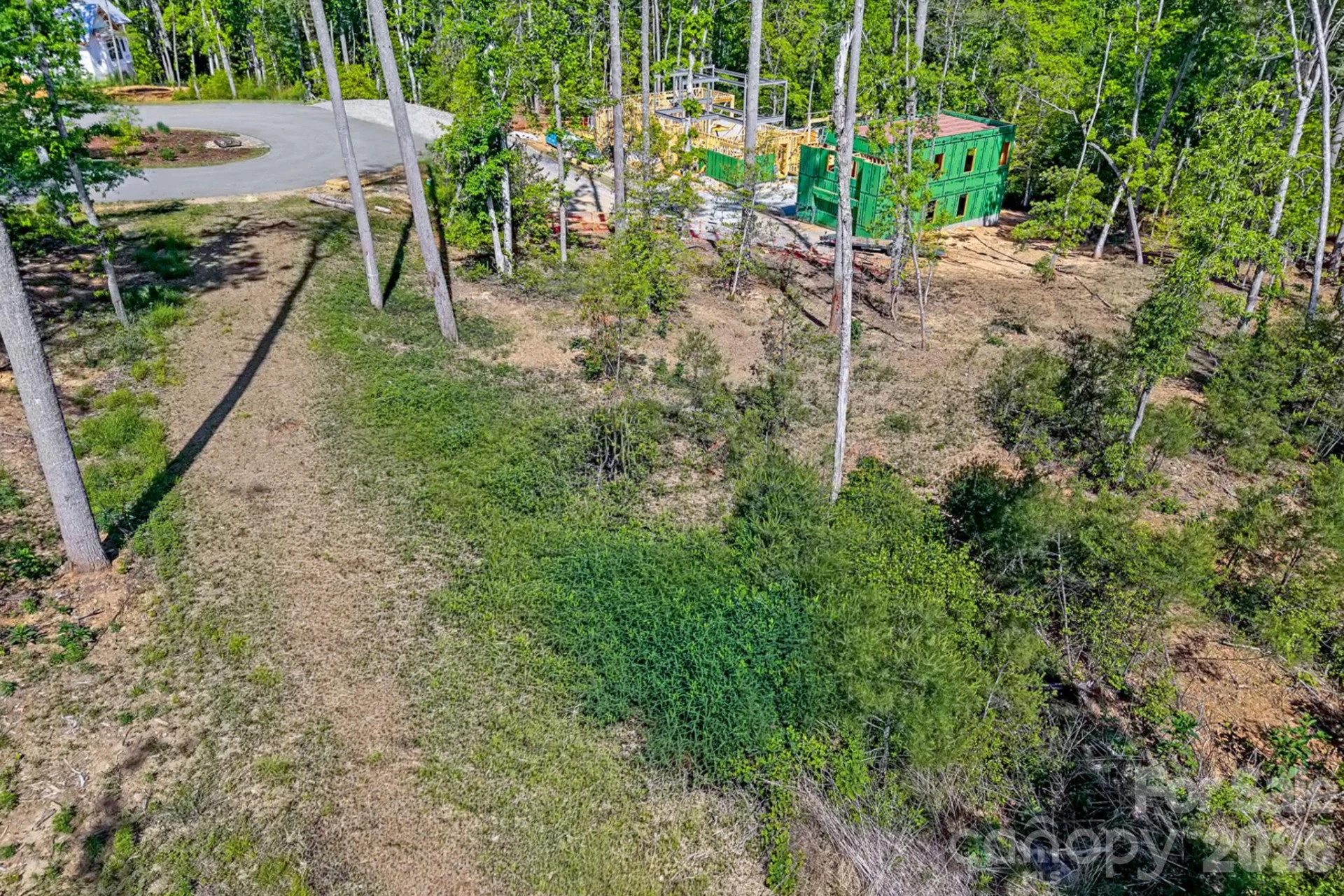 325 Flowering Vine Court - Photo 4