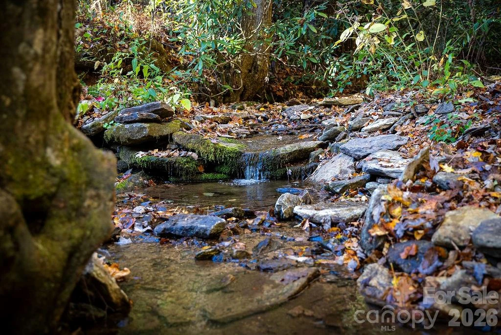 808 Mountain Cove Road - Photo 26