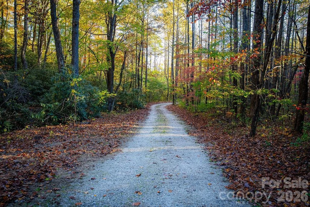 808 Mountain Cove Road - Photo 28