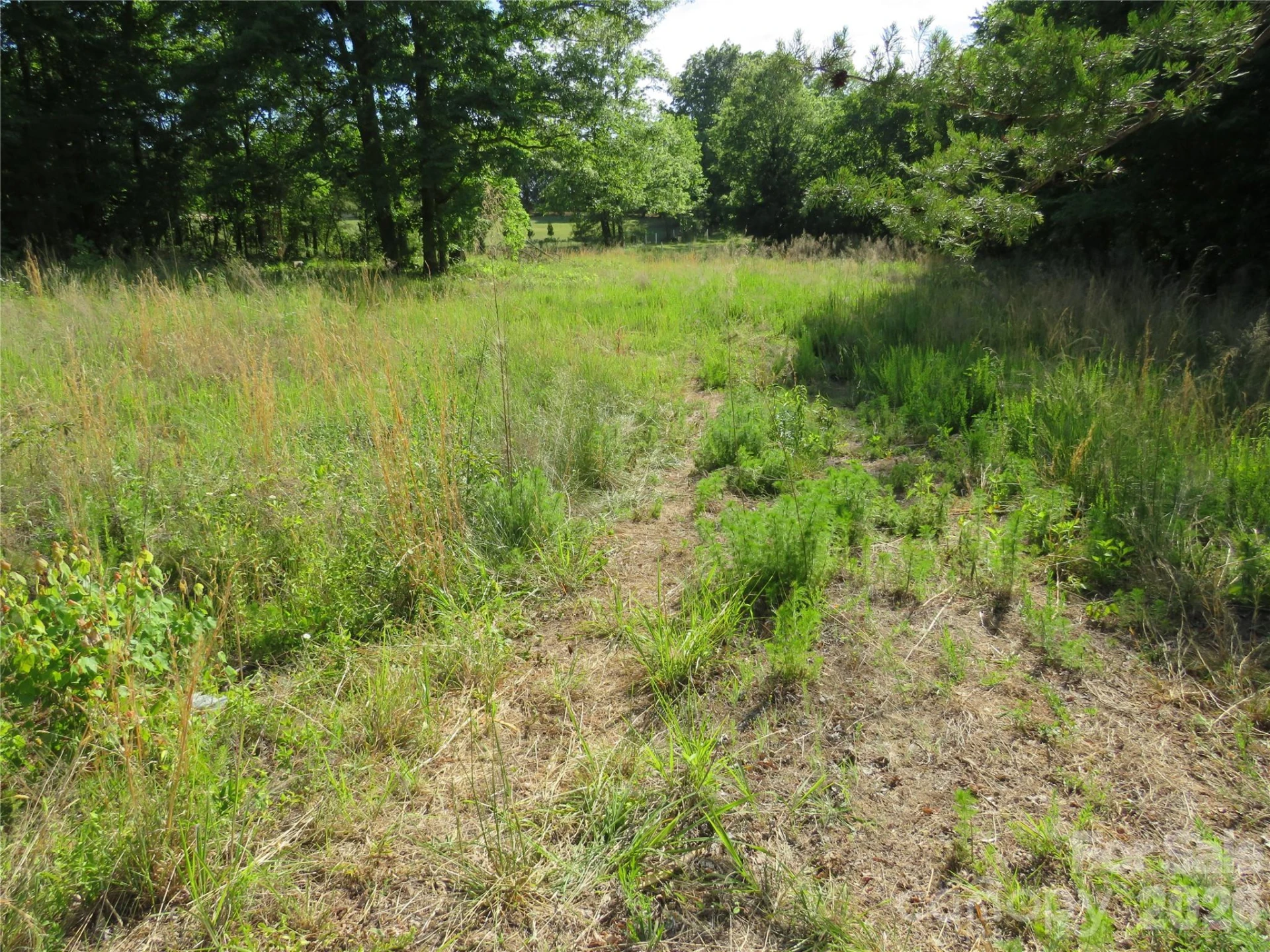 0 Blue Sapphire Lane - Photo 2