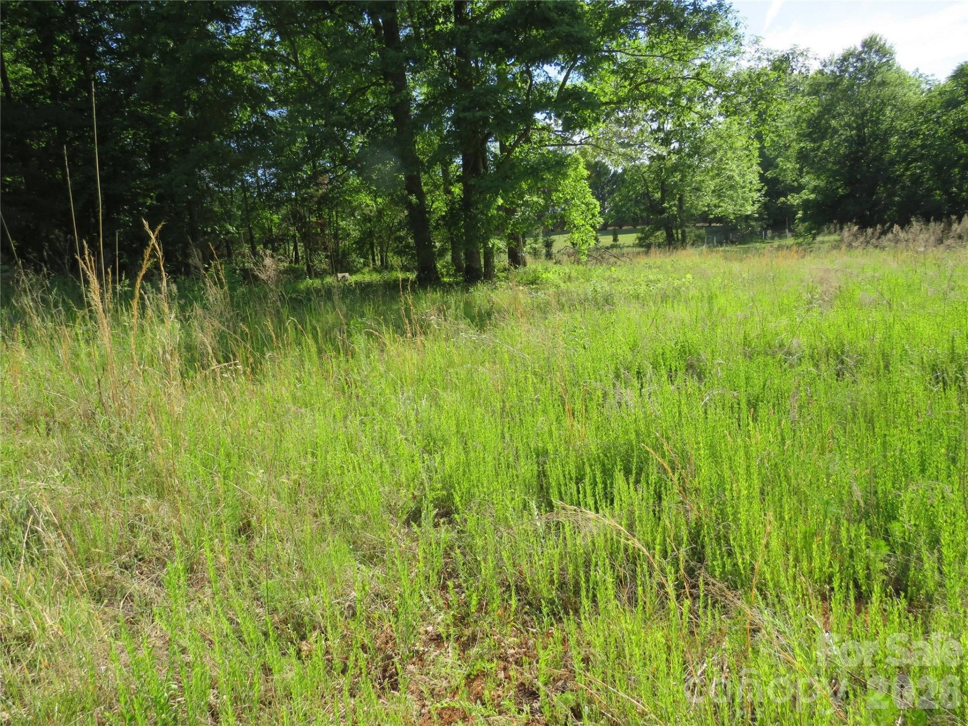 0 Blue Sapphire Lane - Photo 11