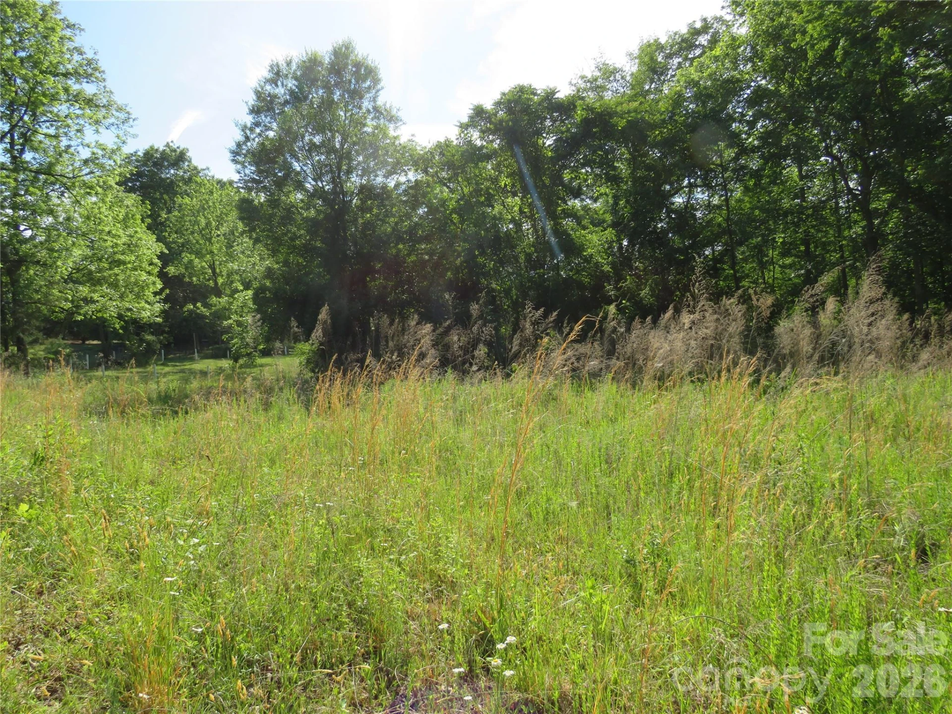 0 Blue Sapphire Lane - Photo 12