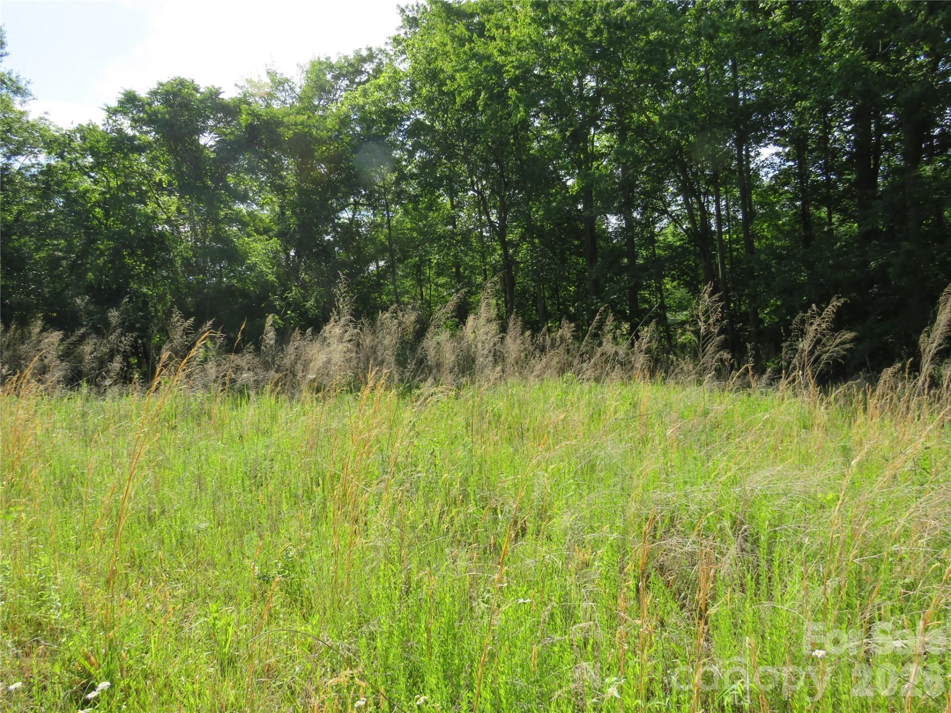 0 Blue Sapphire Lane - Photo 13