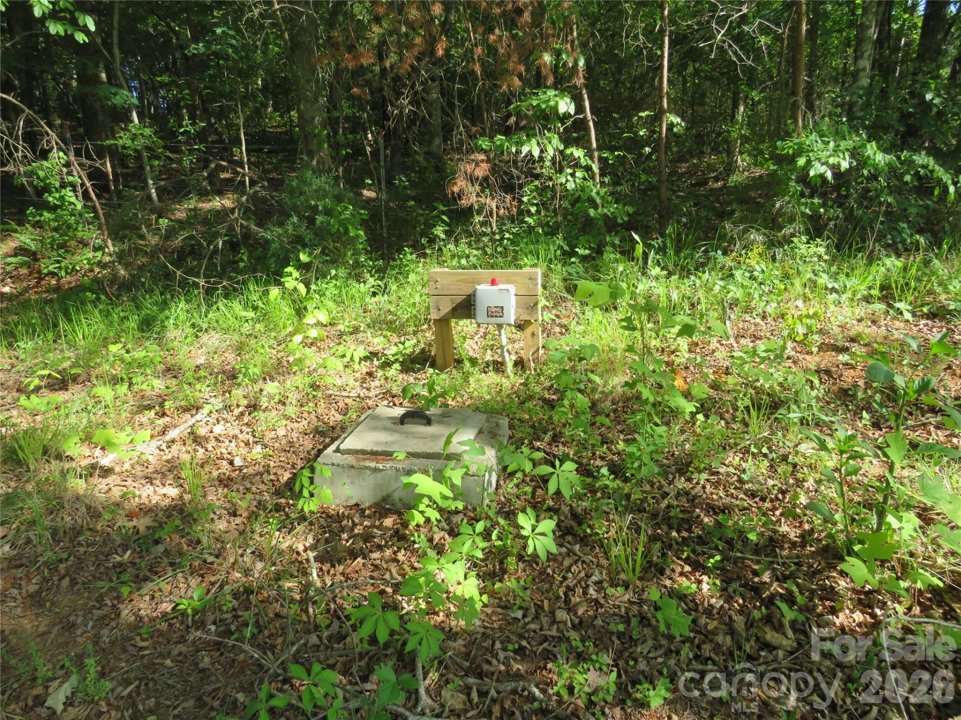 0 Blue Sapphire Lane - Photo 14