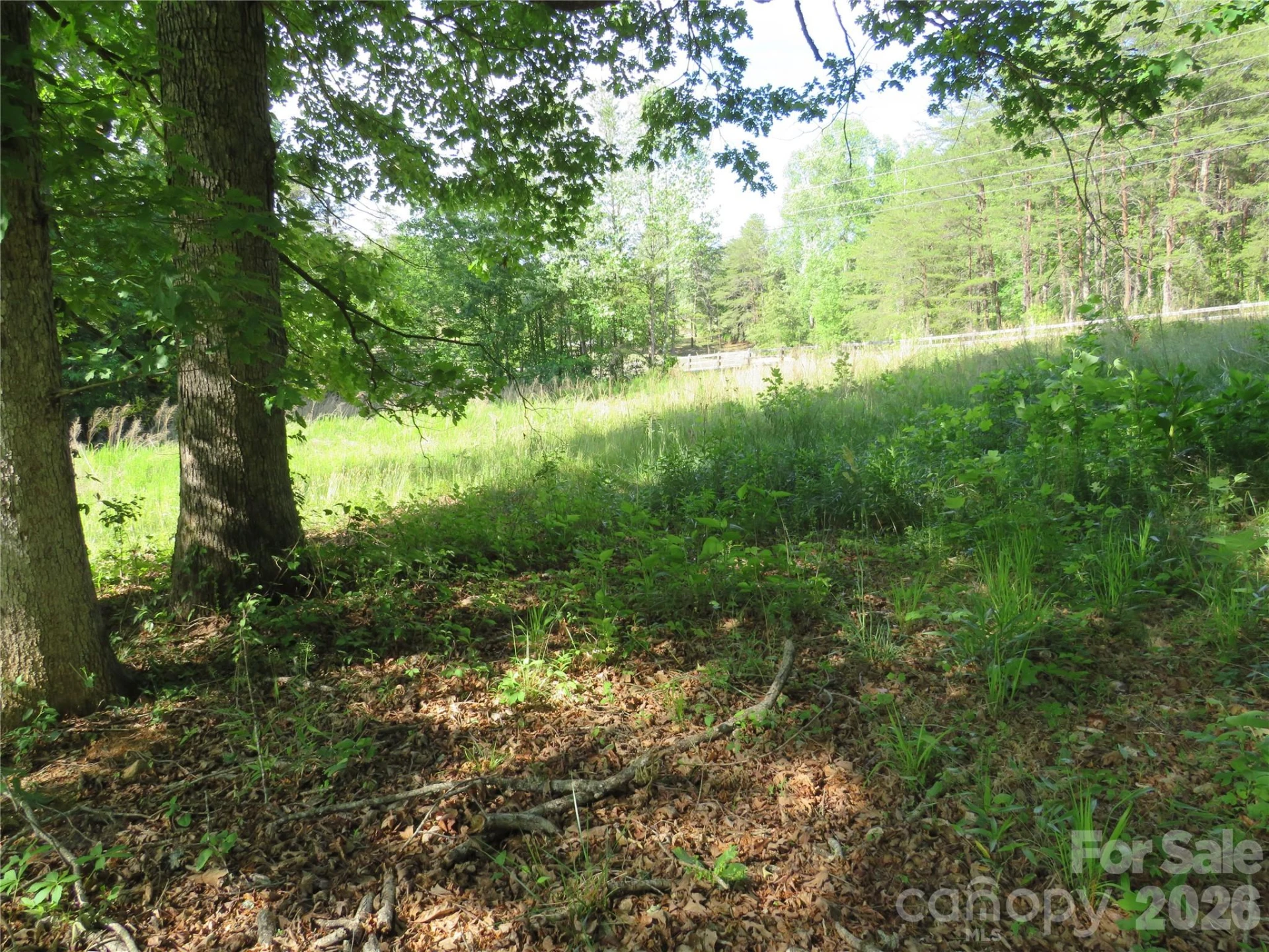 0 Blue Sapphire Lane - Photo 16