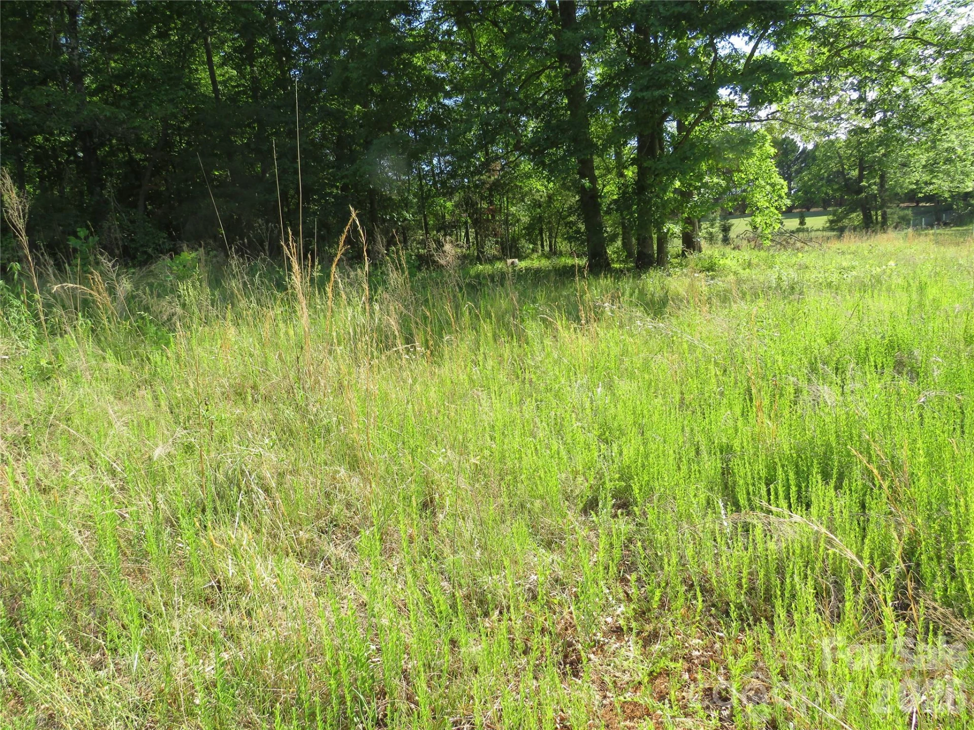 0 Blue Sapphire Lane - Photo 19