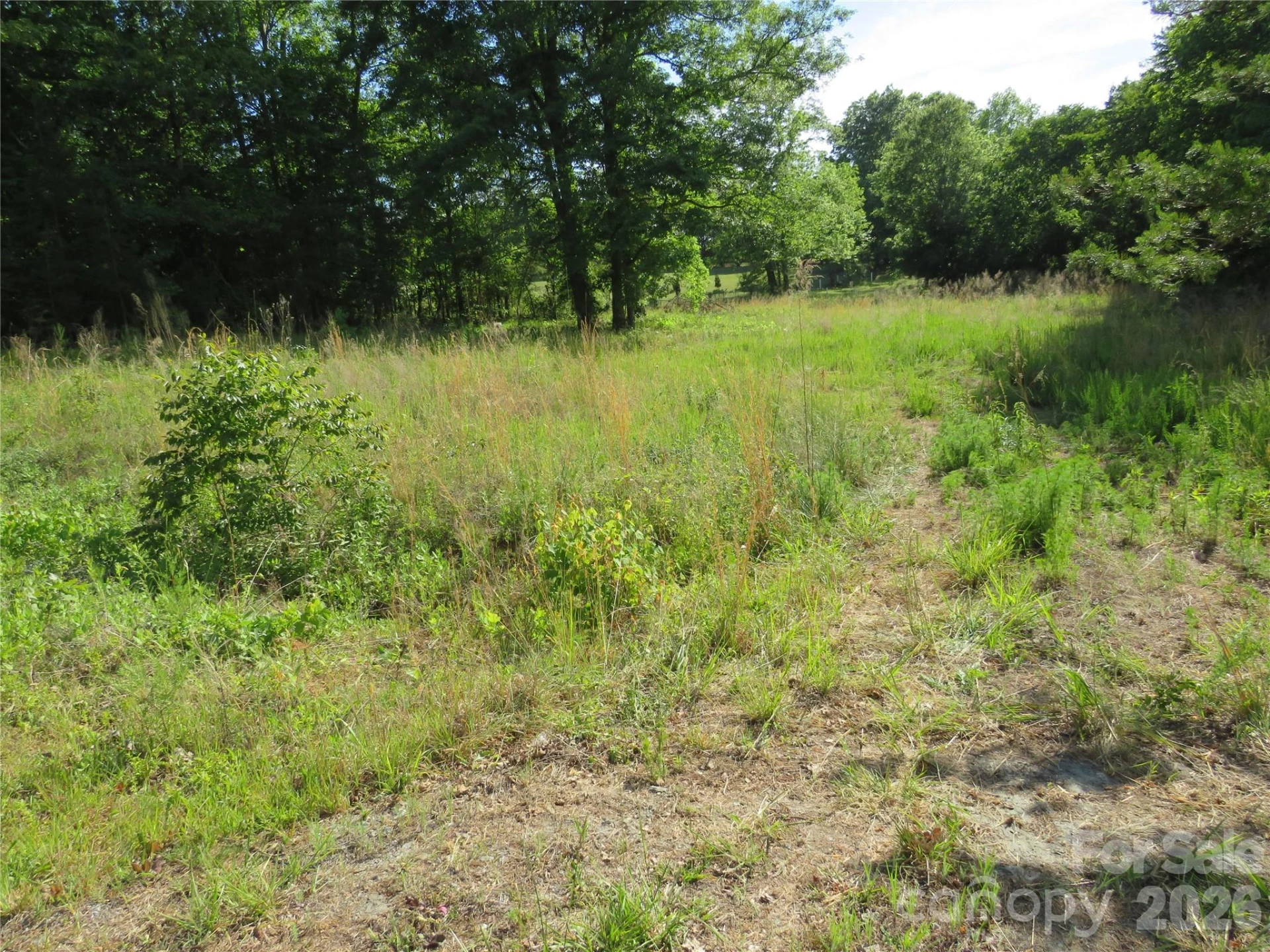 0 Blue Sapphire Lane - Photo 20