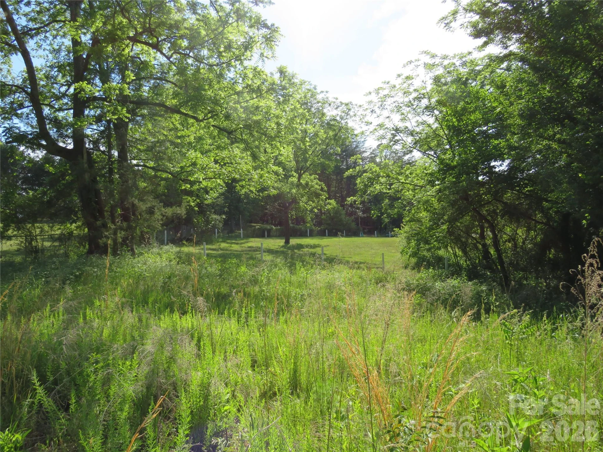 0 Blue Sapphire Lane - Photo 6
