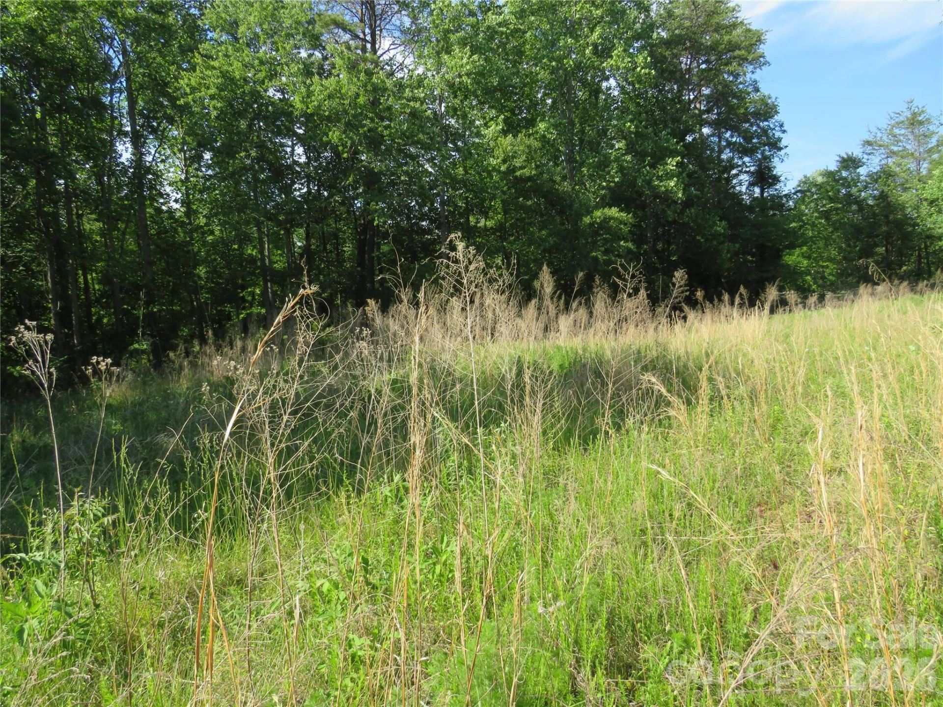 0 Blue Sapphire Lane - Photo 7