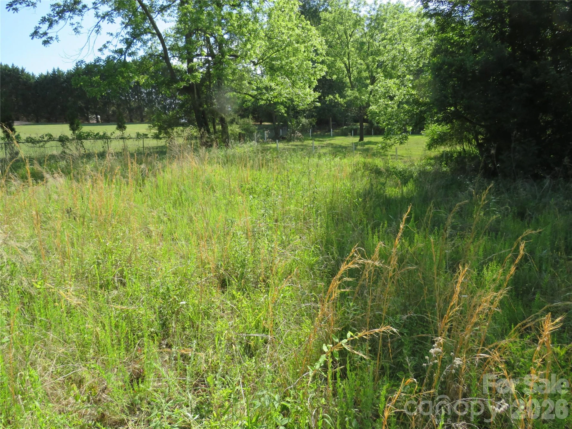 0 Blue Sapphire Lane - Photo 8