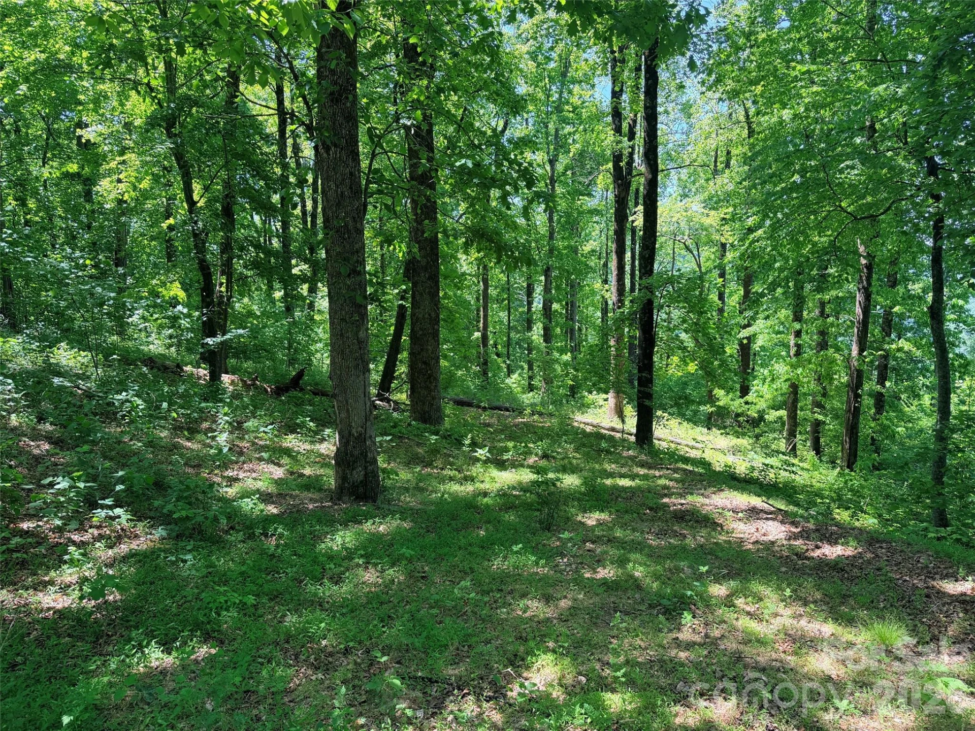 Lot 10 Timbercliff Trail - Photo 11
