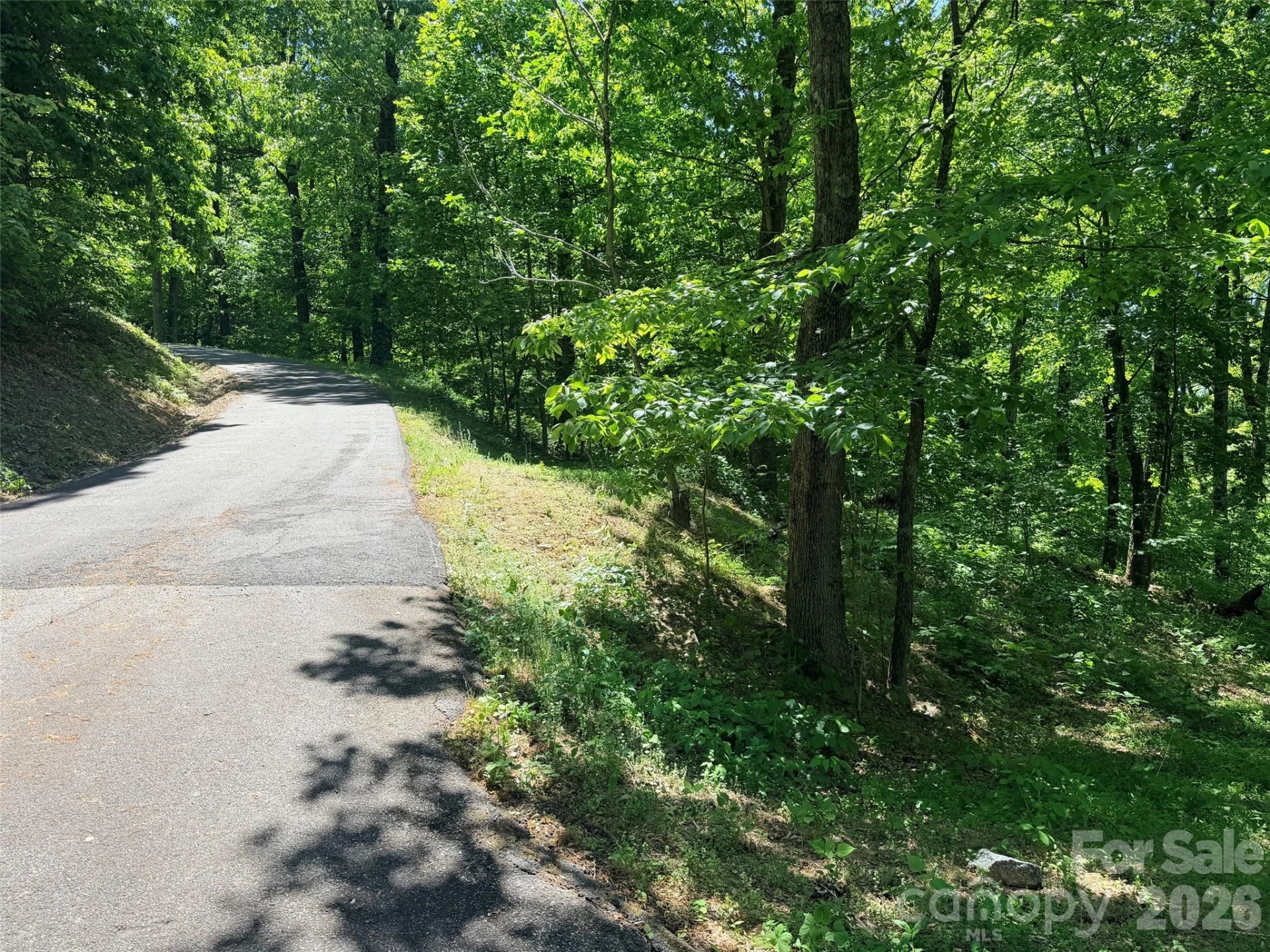 Lot 10 Timbercliff Trail - Photo 12