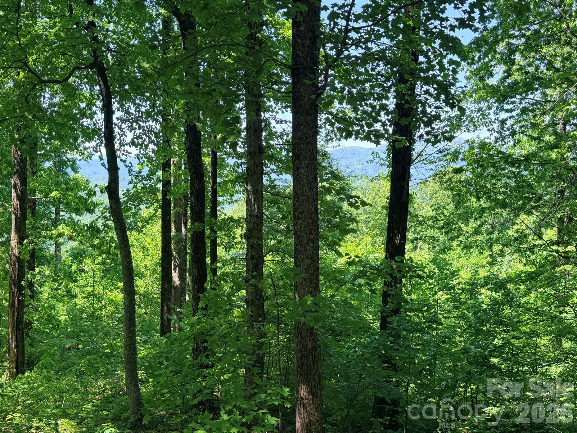 Lot 10 Timbercliff Trail - Photo 3