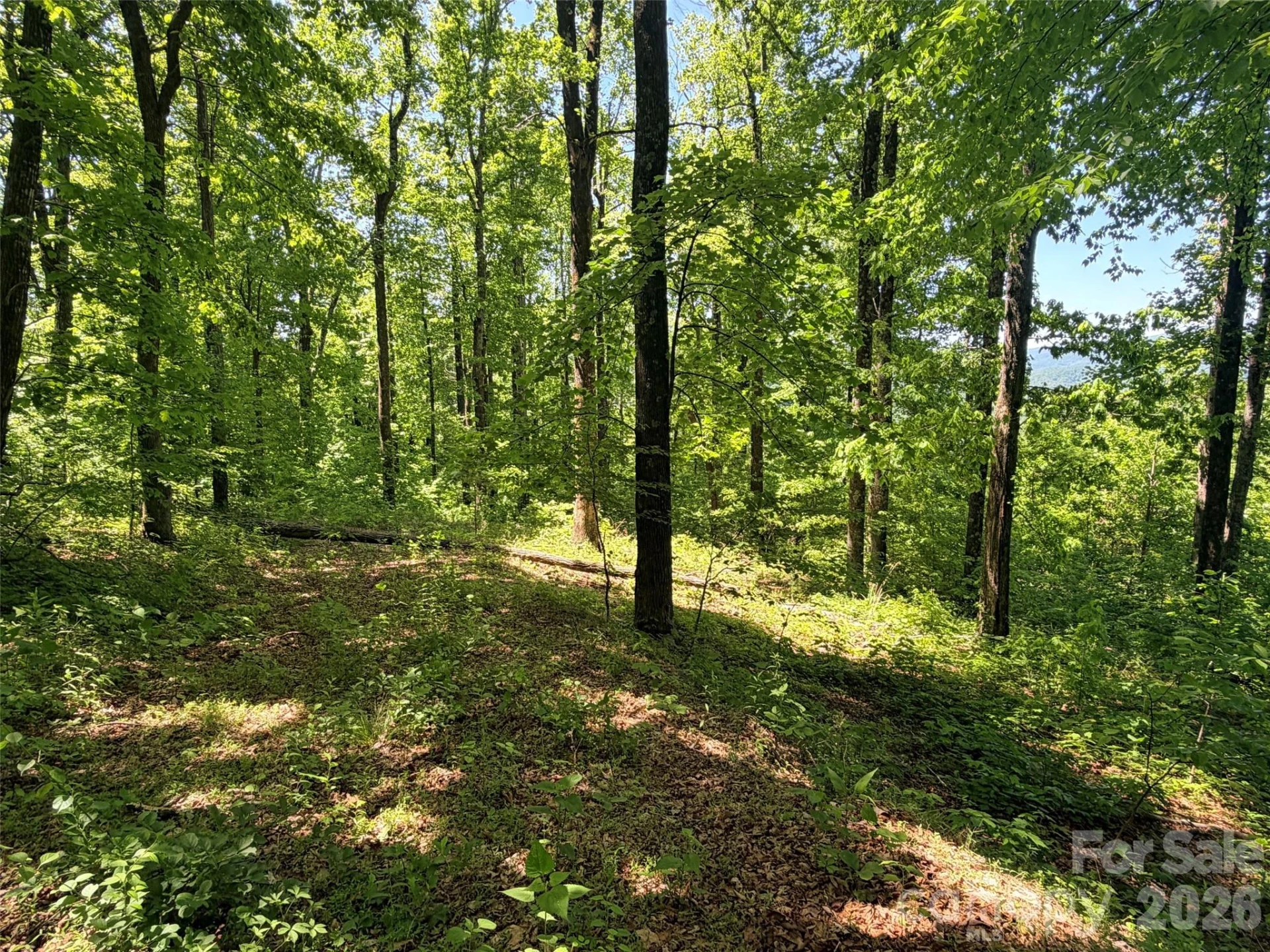 Lot 10 Timbercliff Trail - Photo 4