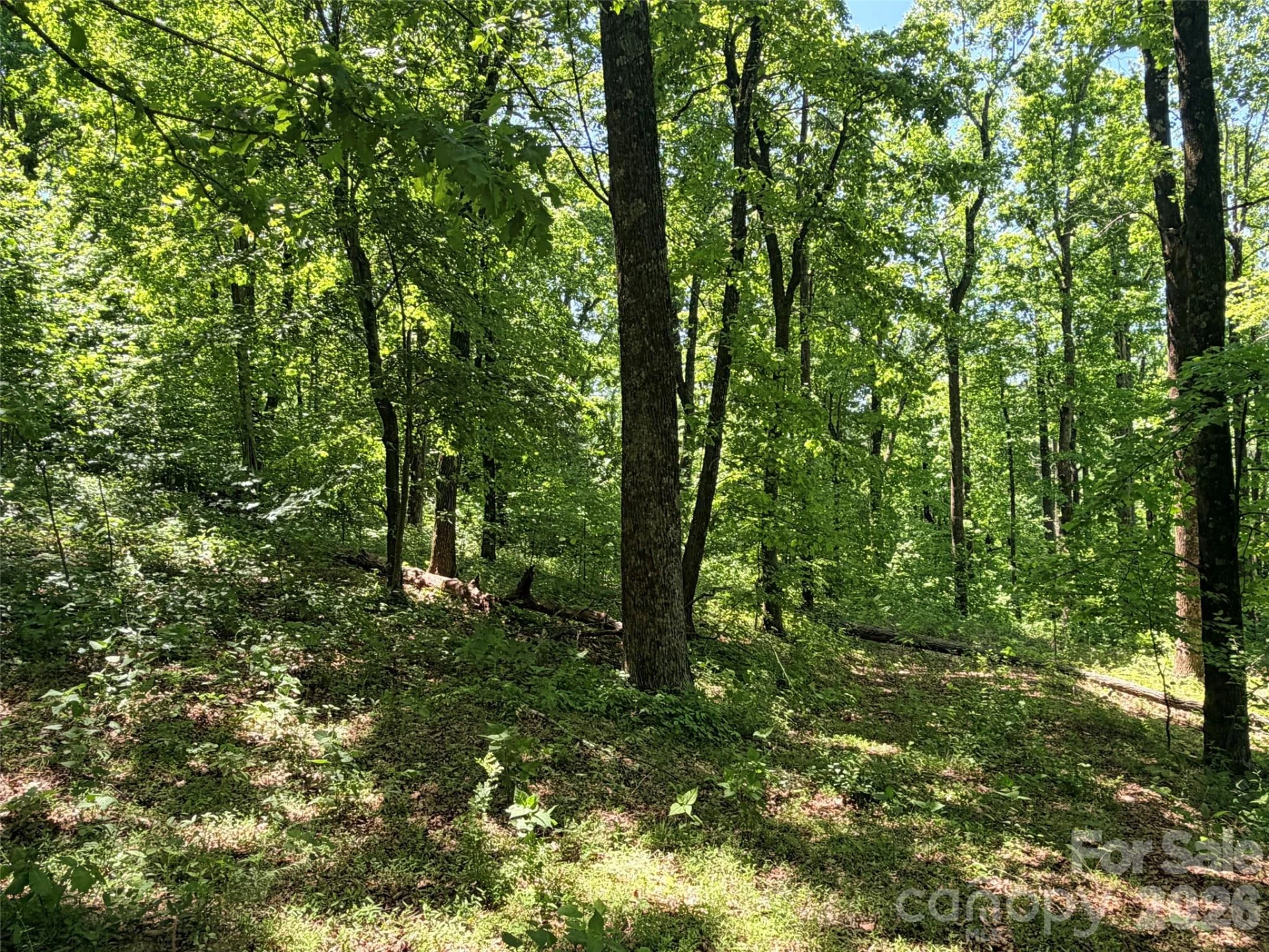 Lot 10 Timbercliff Trail - Photo 5