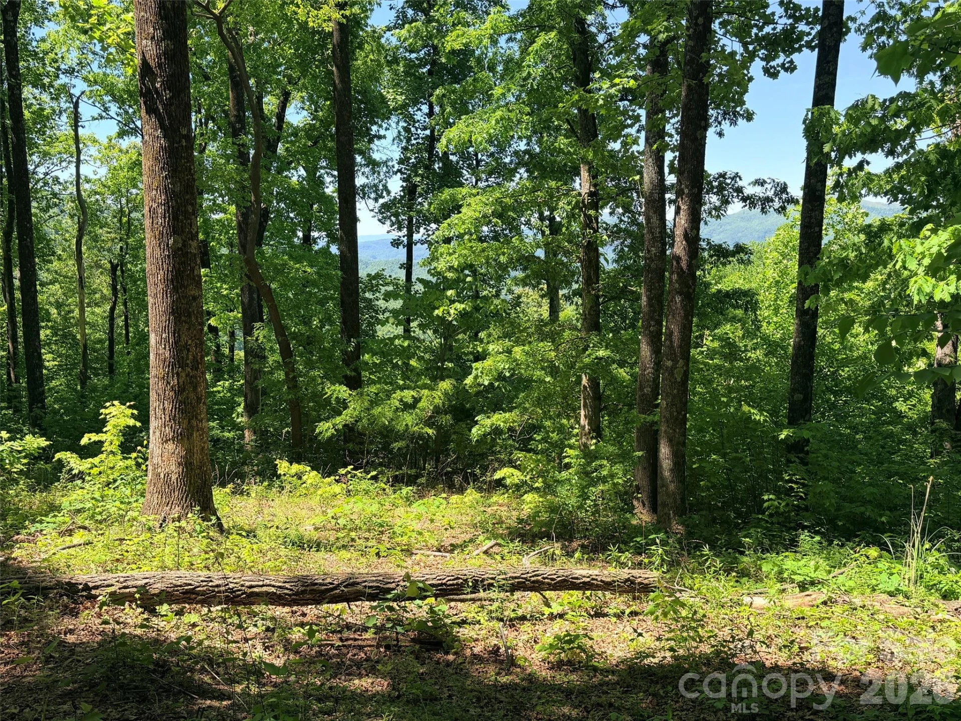 Lot 10 Timbercliff Trail - Photo 7