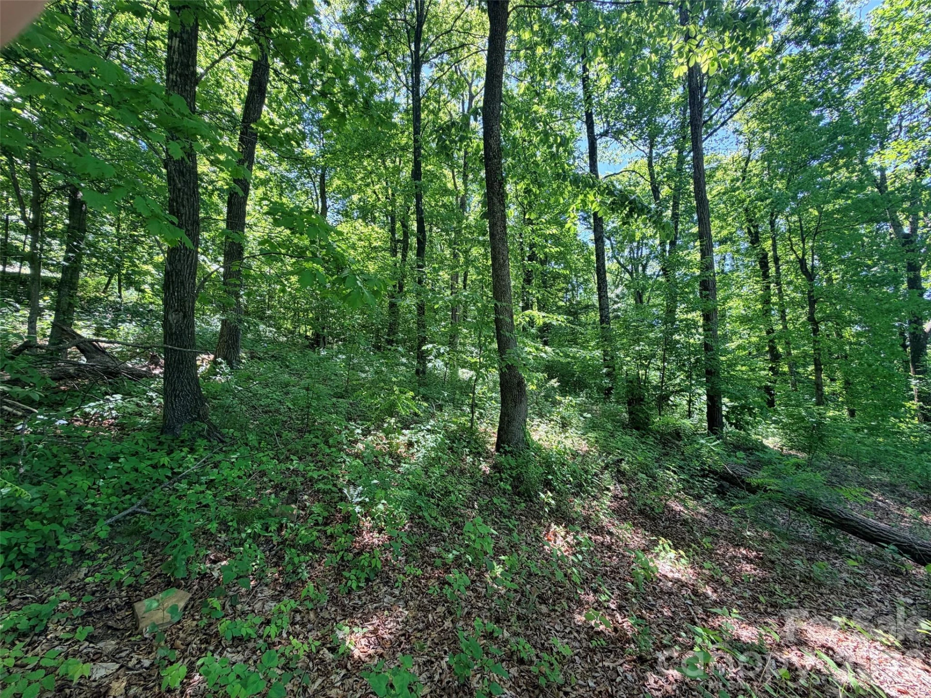 Lot 10 Timbercliff Trail - Photo 8
