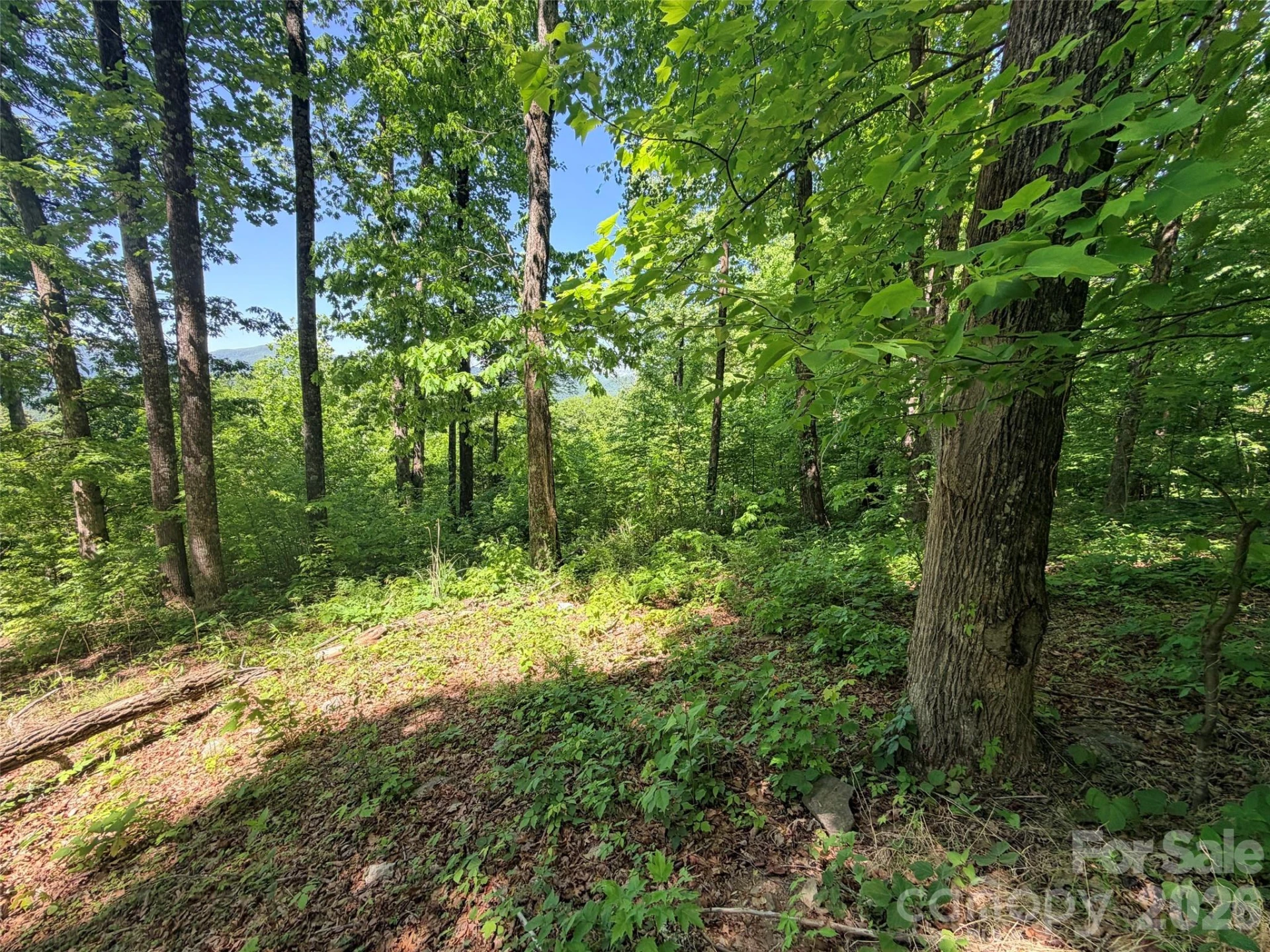 Lot 10 Timbercliff Trail - Photo 9