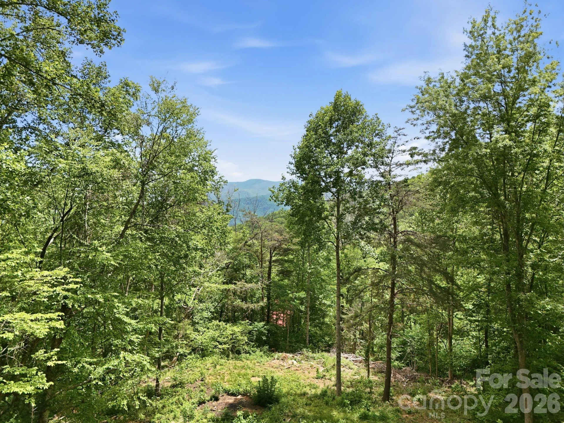 00 Cobblestone Drive #34 - Photo 15
