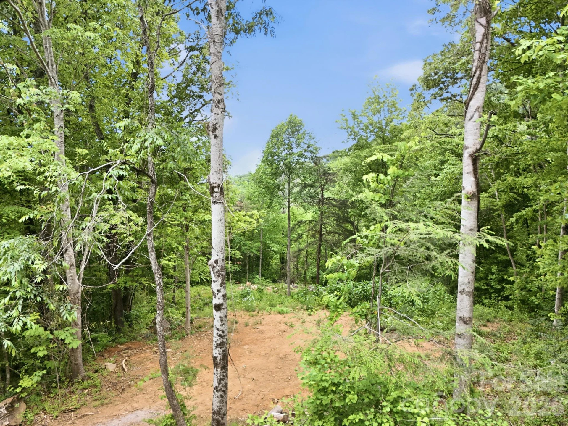00 Cobblestone Drive #34 - Photo 6