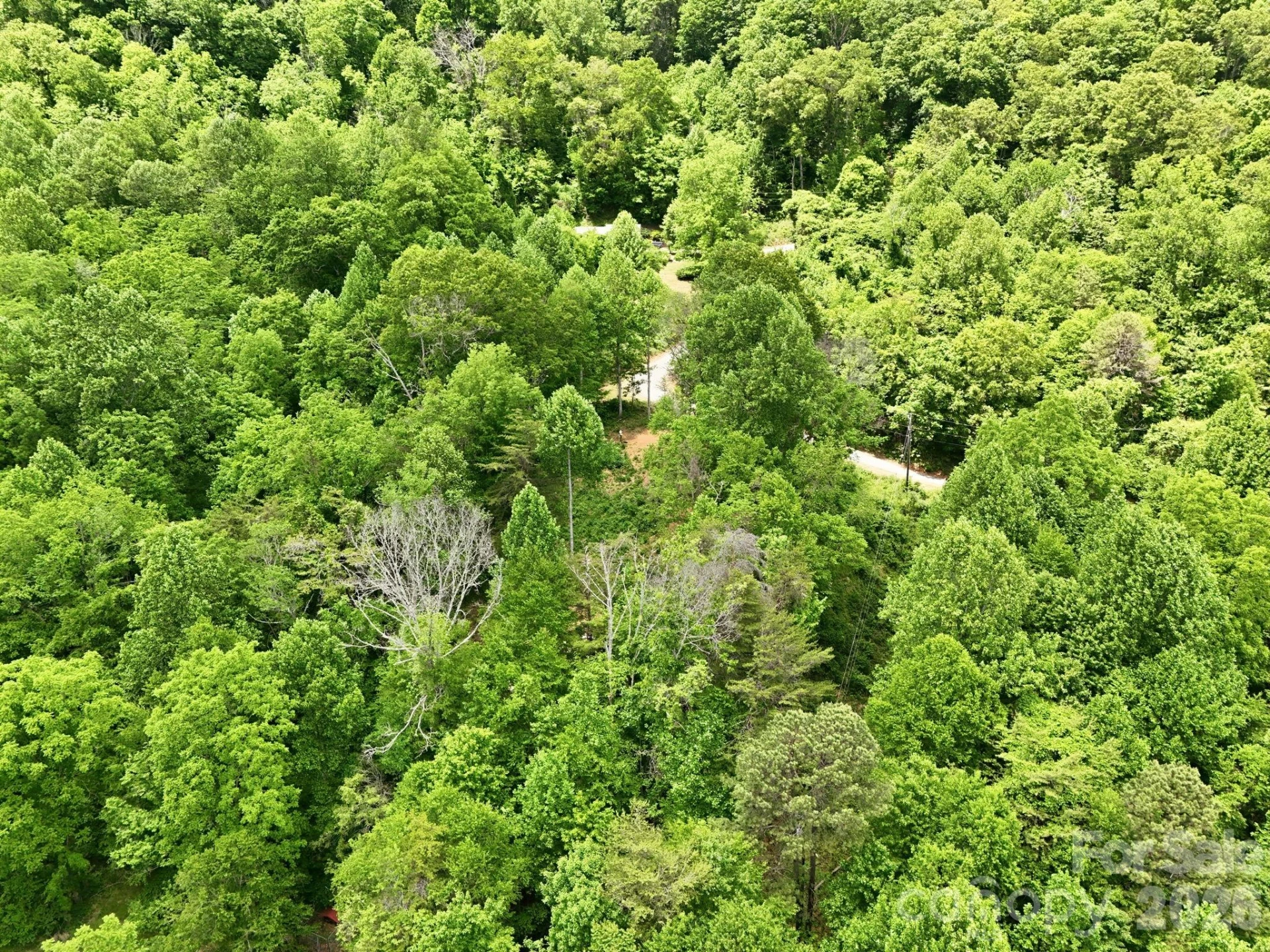 00 Cobblestone Drive #34 - Photo 8