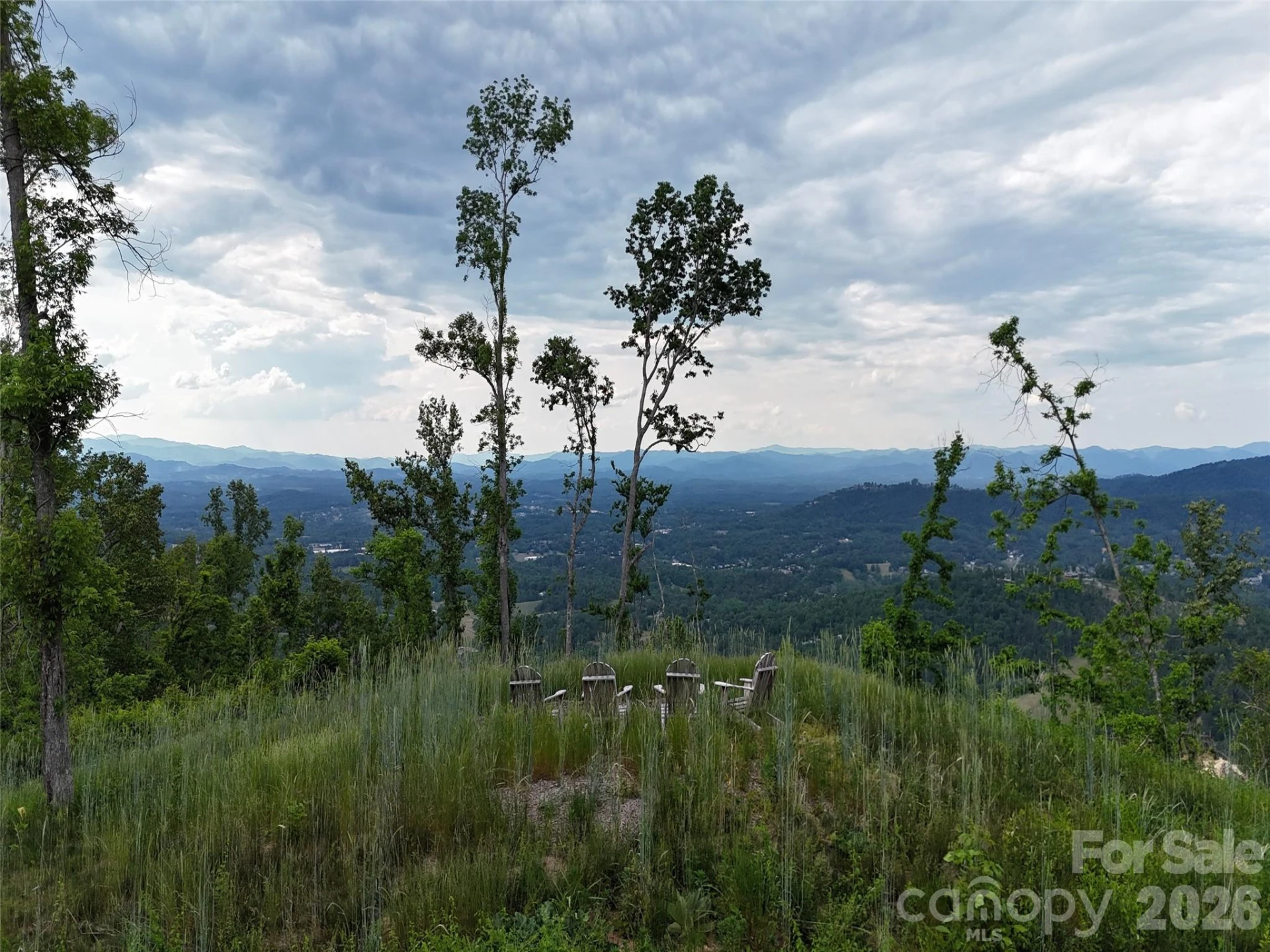 566 Elk Mountain Scenic Highway - Photo 2