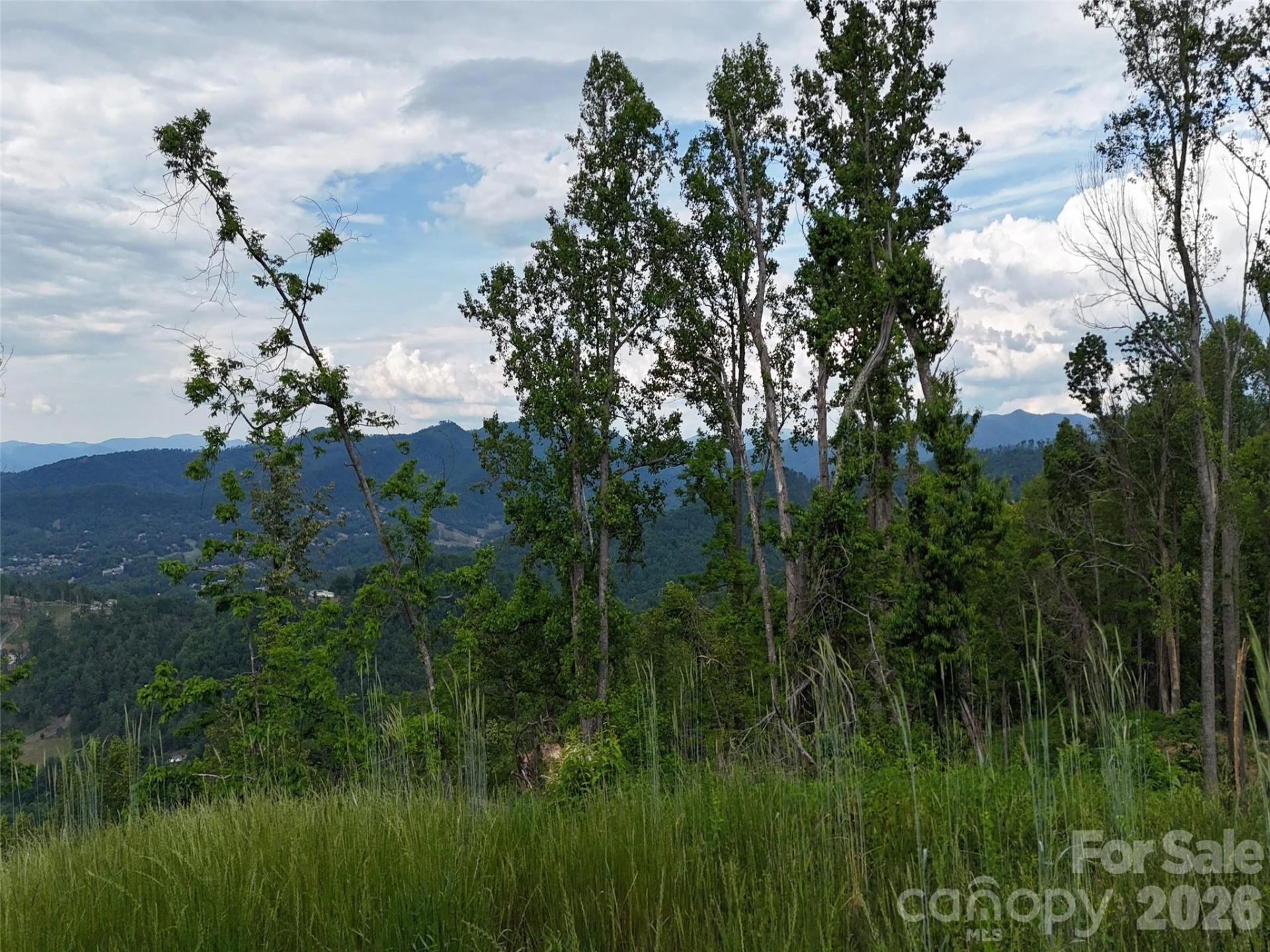 566 Elk Mountain Scenic Highway - Photo 11