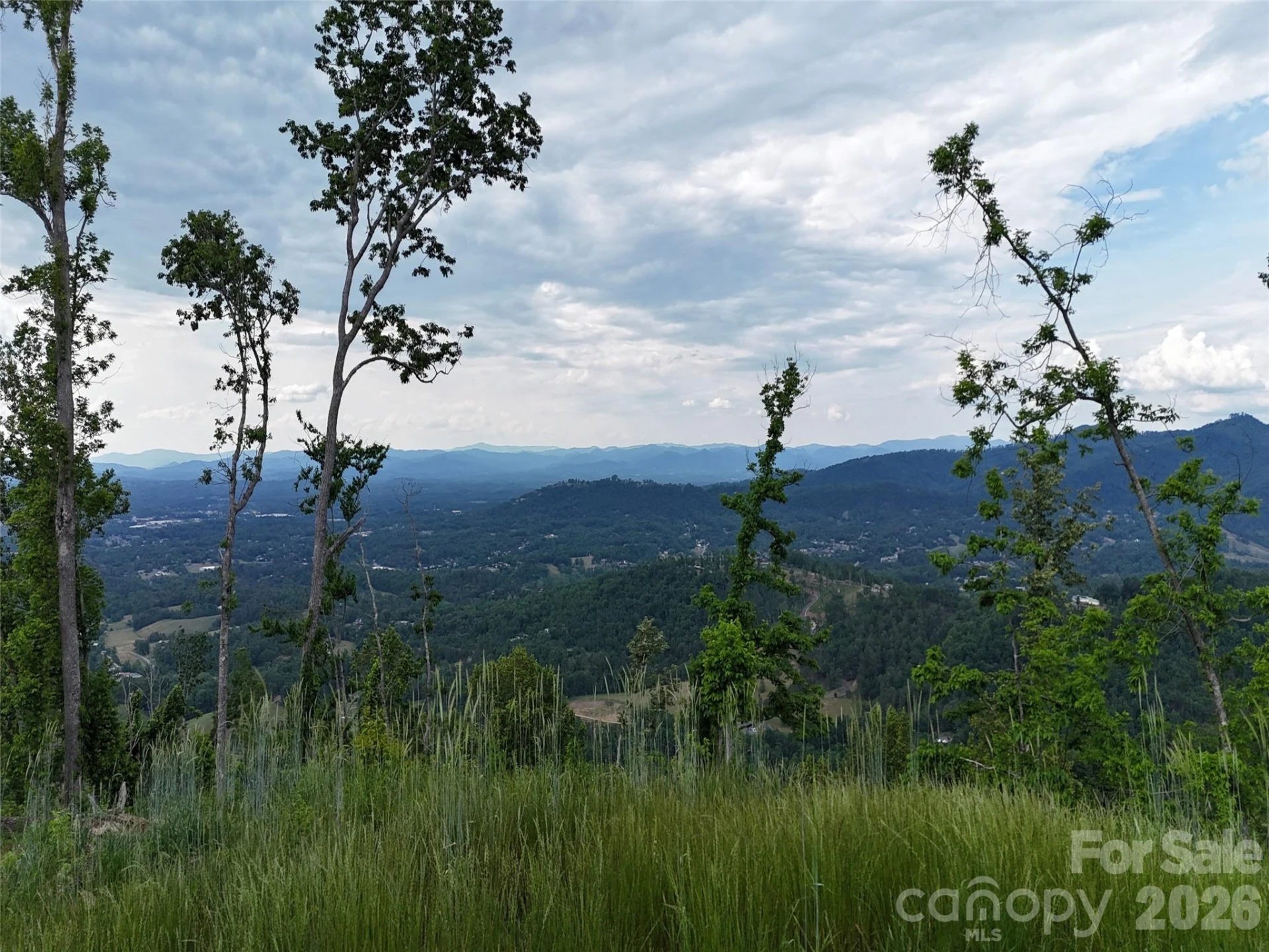 566 Elk Mountain Scenic Highway - Photo 12