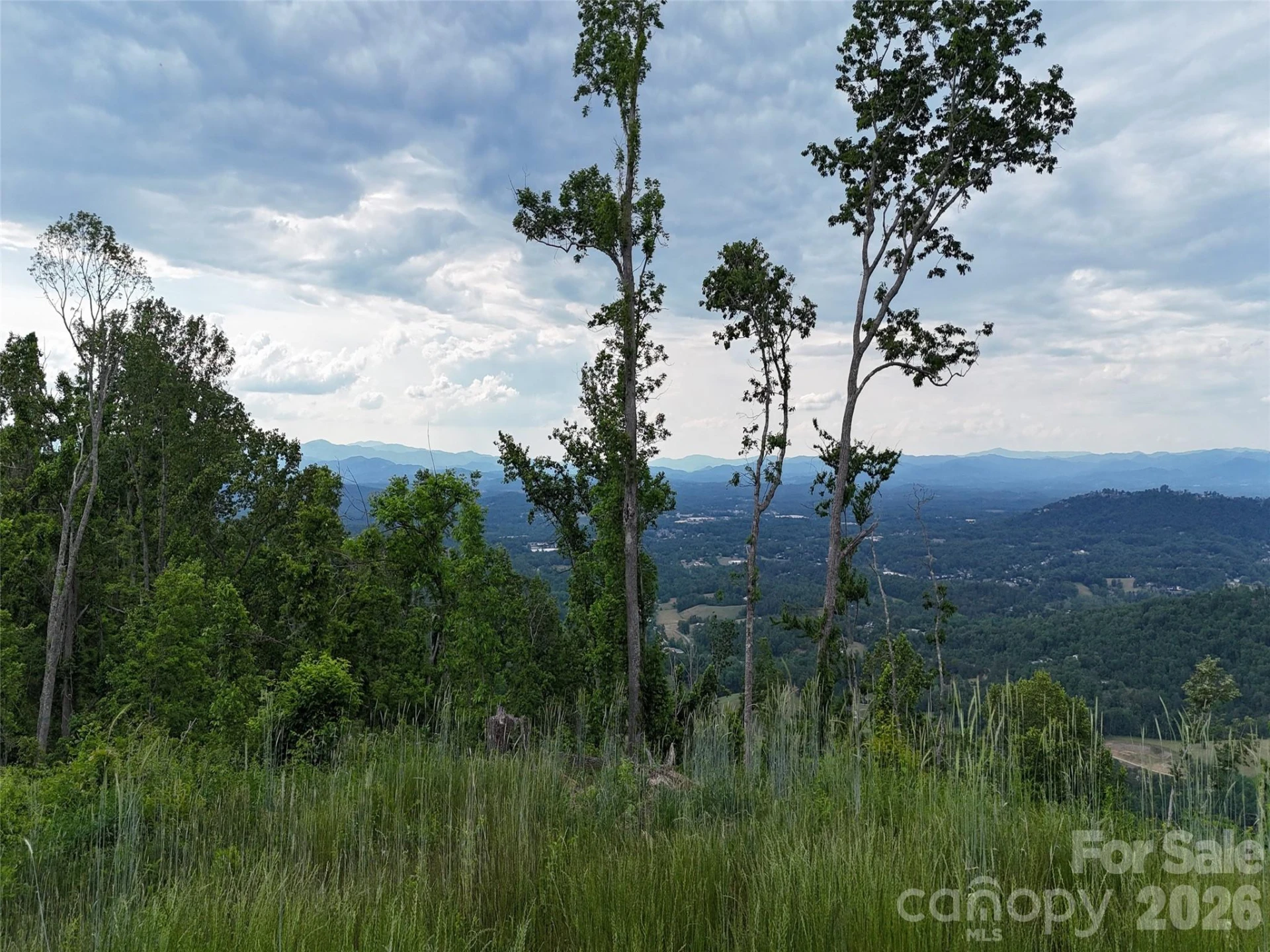 566 Elk Mountain Scenic Highway - Photo 13
