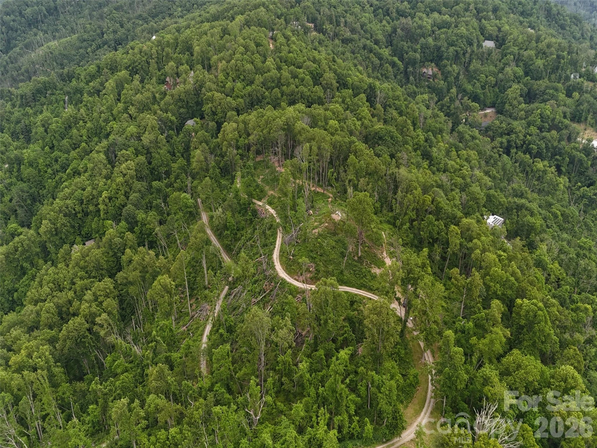 566 Elk Mountain Scenic Highway - Photo 17