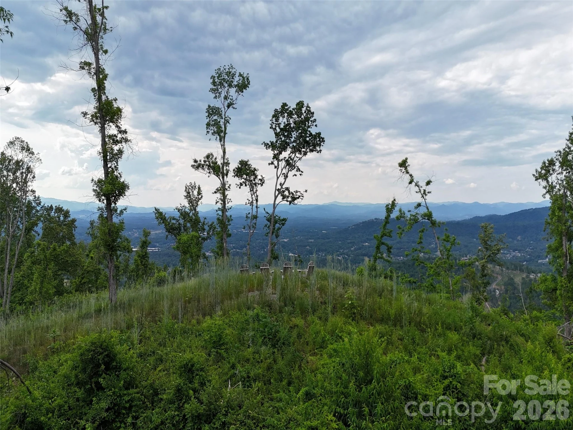 566 Elk Mountain Scenic Highway - Photo 3