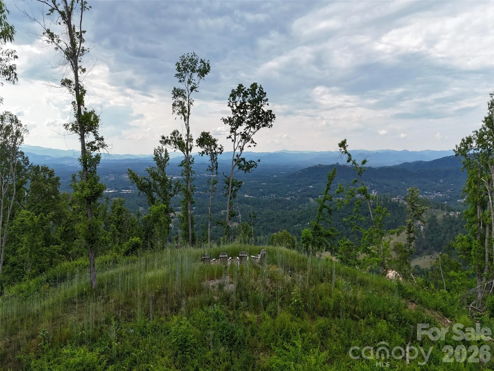566 Elk Mountain Scenic Highway - Photo 4