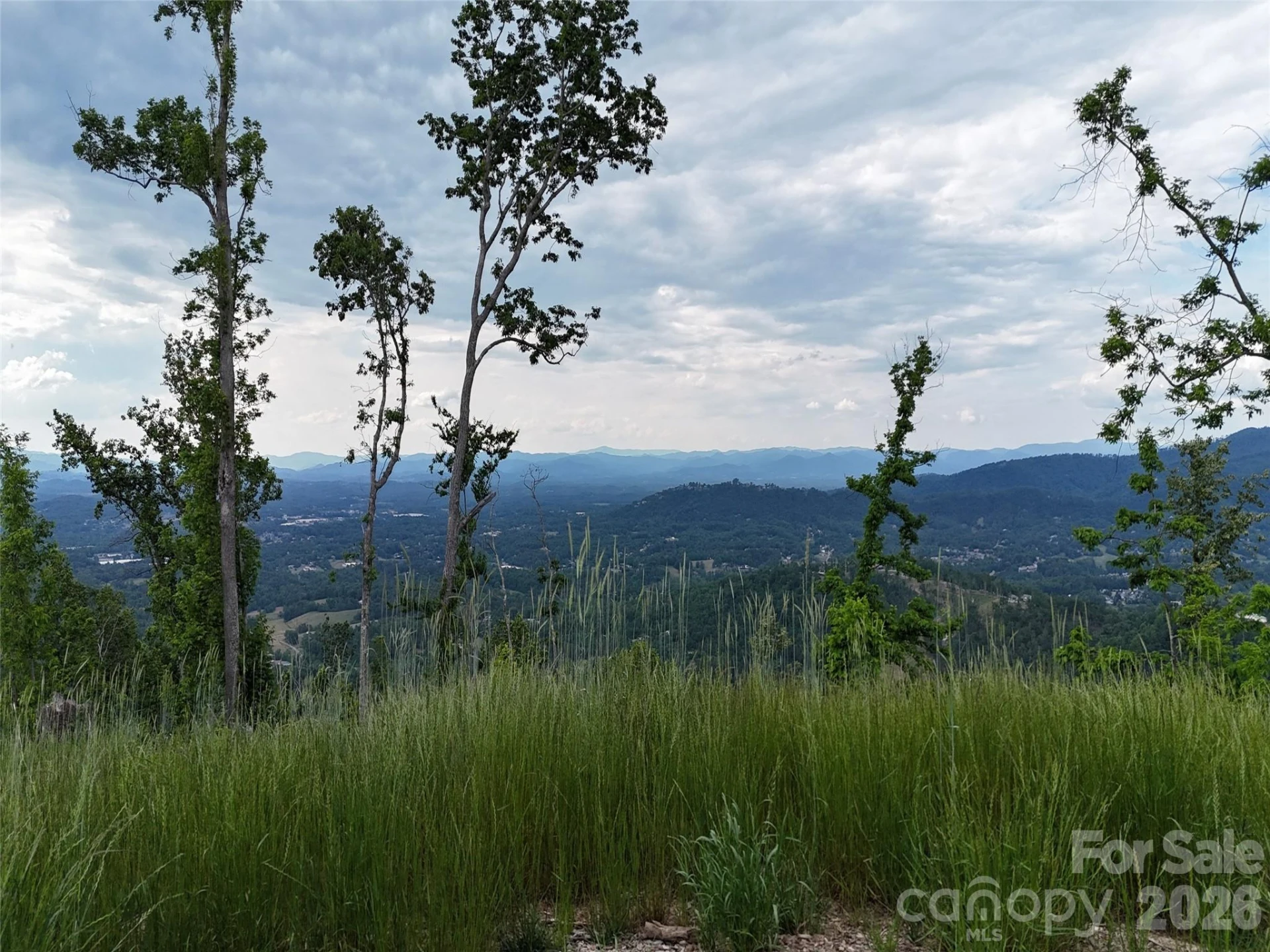 566 Elk Mountain Scenic Highway - Photo 9