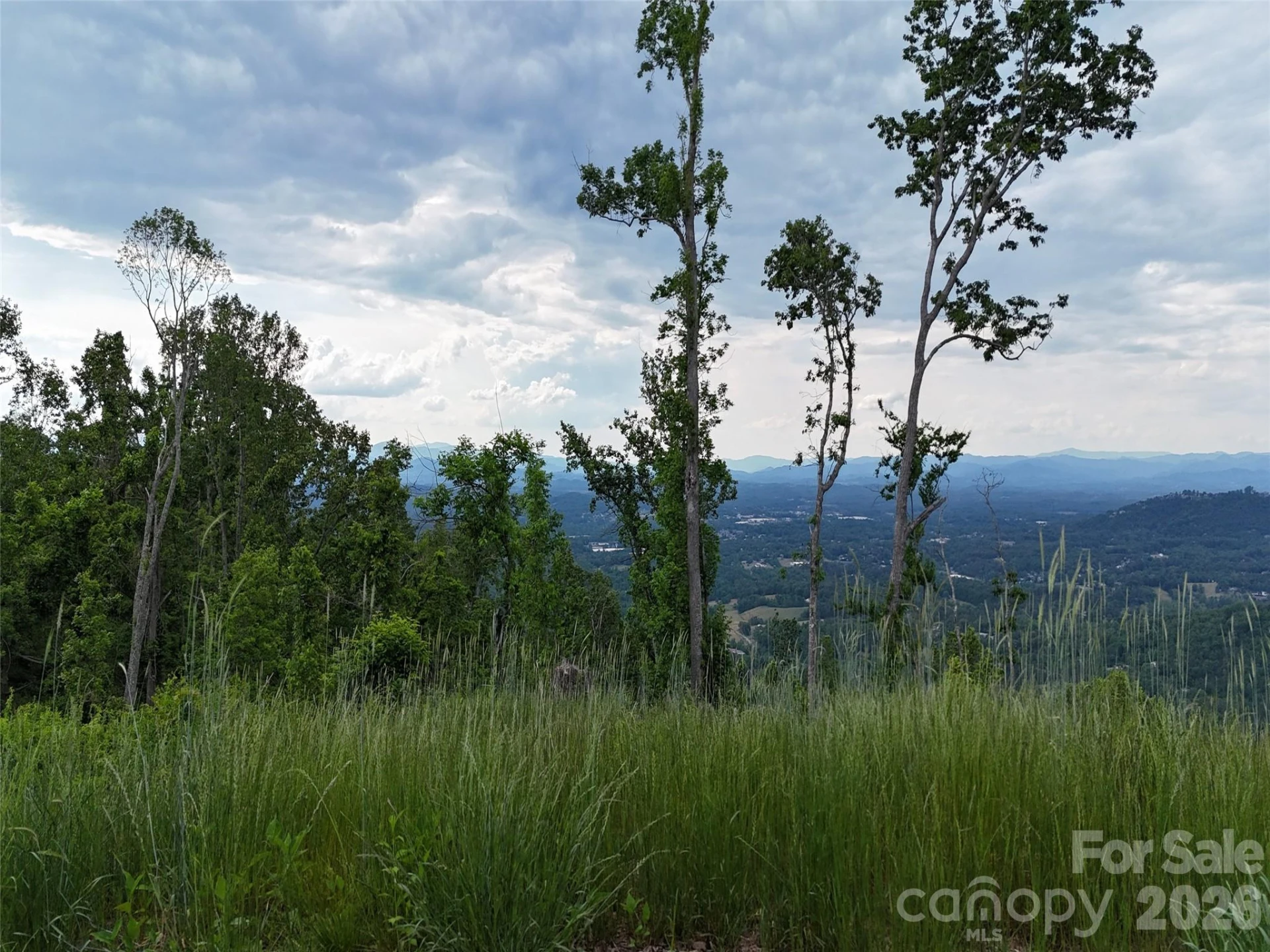 566 Elk Mountain Scenic Highway - Photo 10