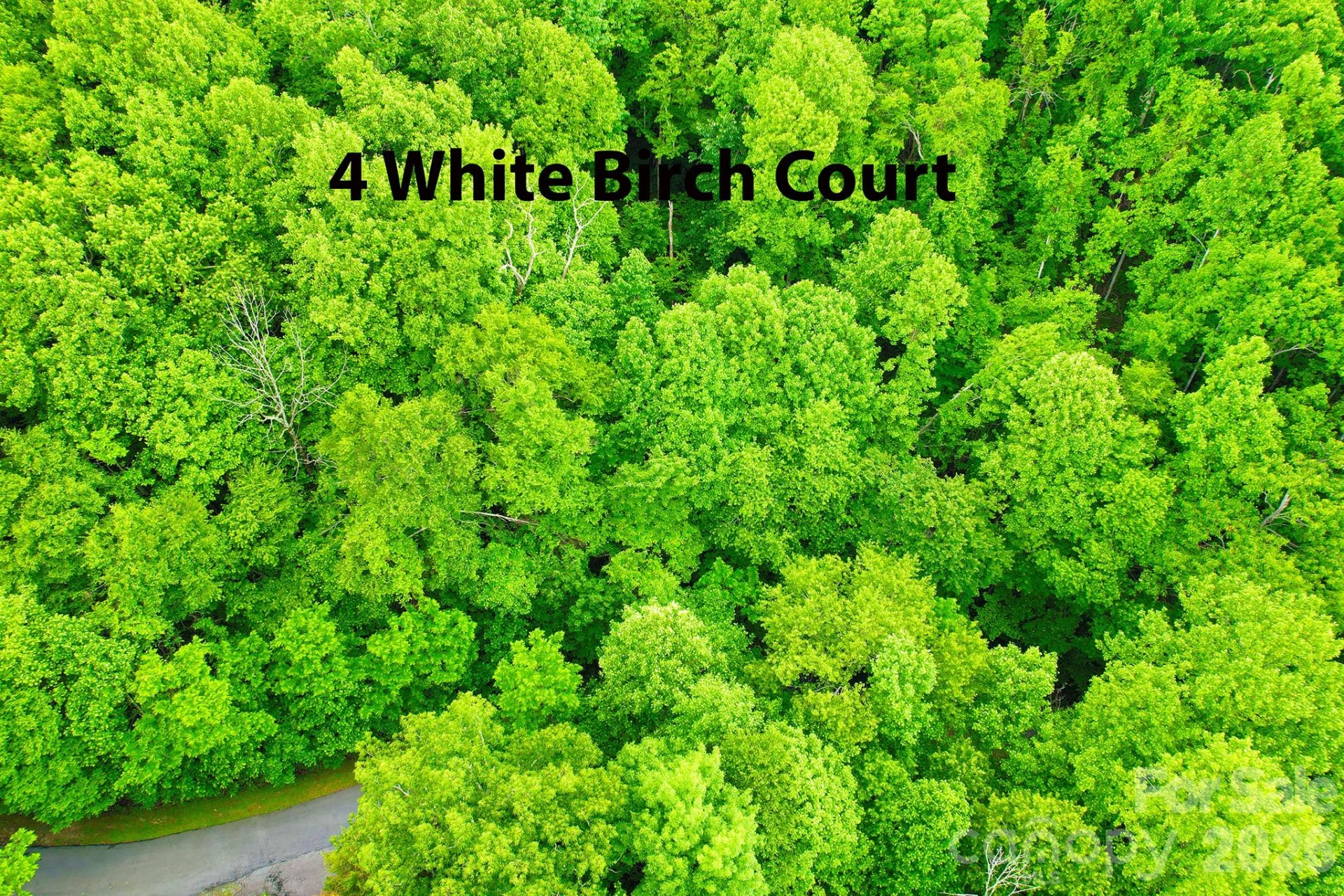 4 White Birch Court #422 - Photo 15