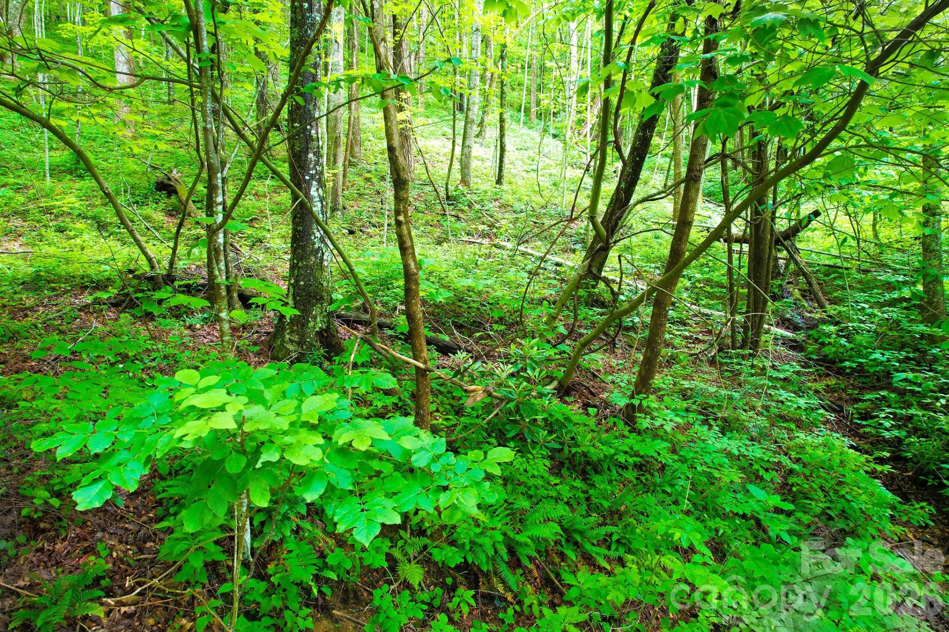 4 White Birch Court #422 - Photo 19