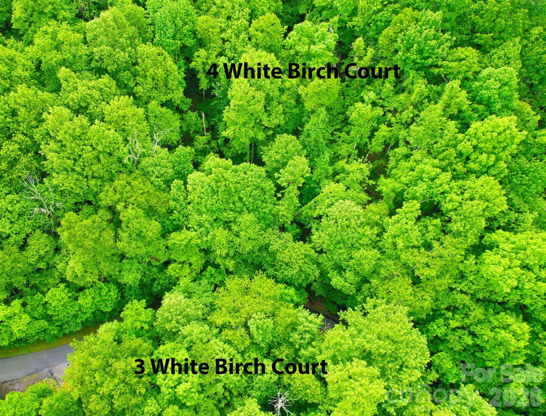 4 White Birch Court #422 - Photo 5