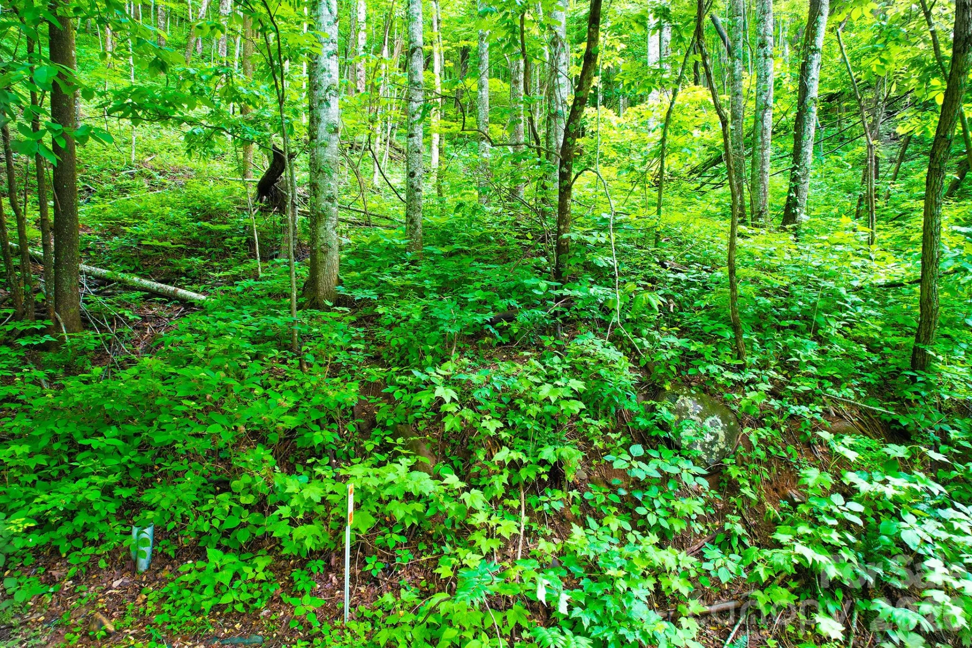 4 White Birch Court #422 - Photo 21