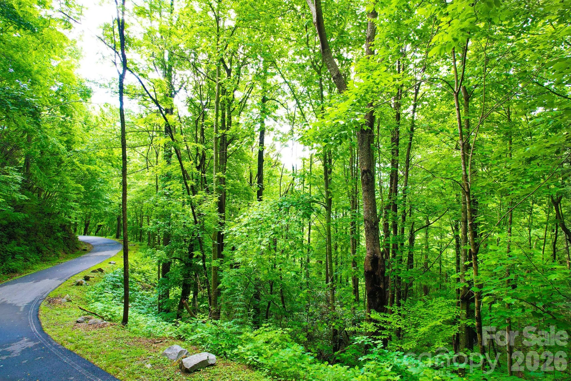 4 White Birch Court #422 - Photo 6